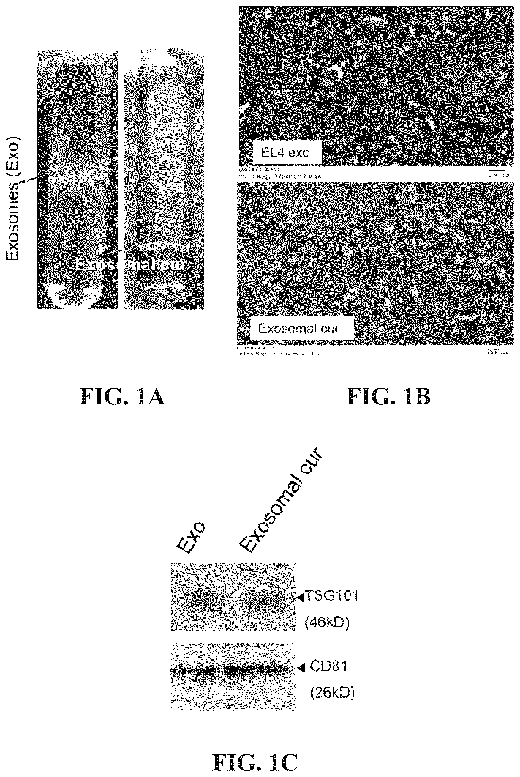 Patent US12318482 Figure 1 – Exosomal compositions and methods for the treatment of disease
