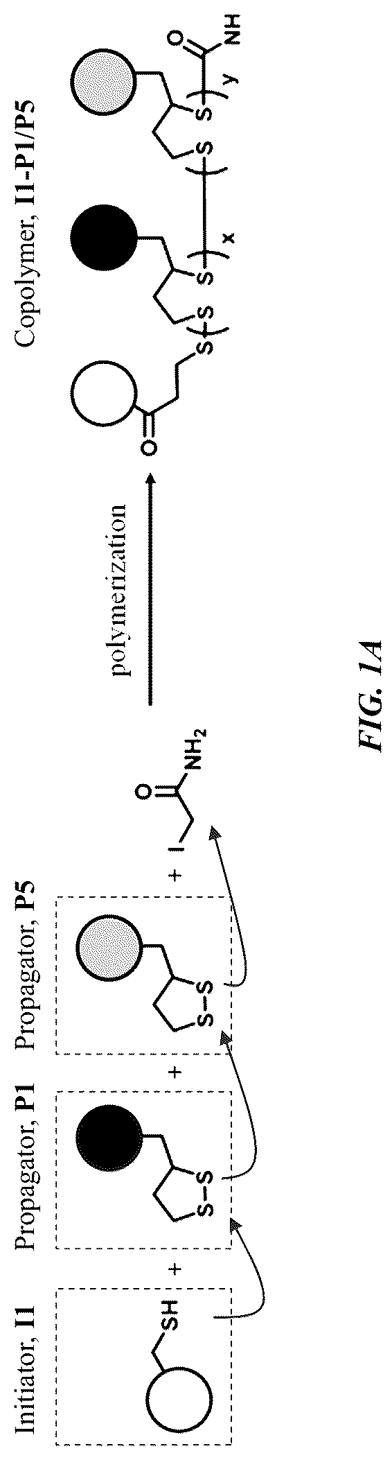 Patent US12318485 — Methods and compositions for targeted delivery by polymersomes — Figure 1