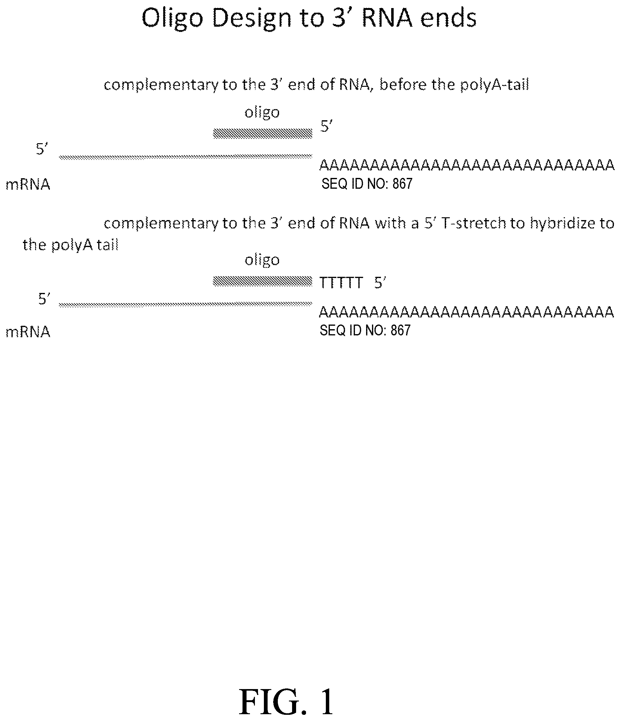 Patent US12318489 — Nanoparticle formulations for delivery of nucleic acid complexes — Figure 1