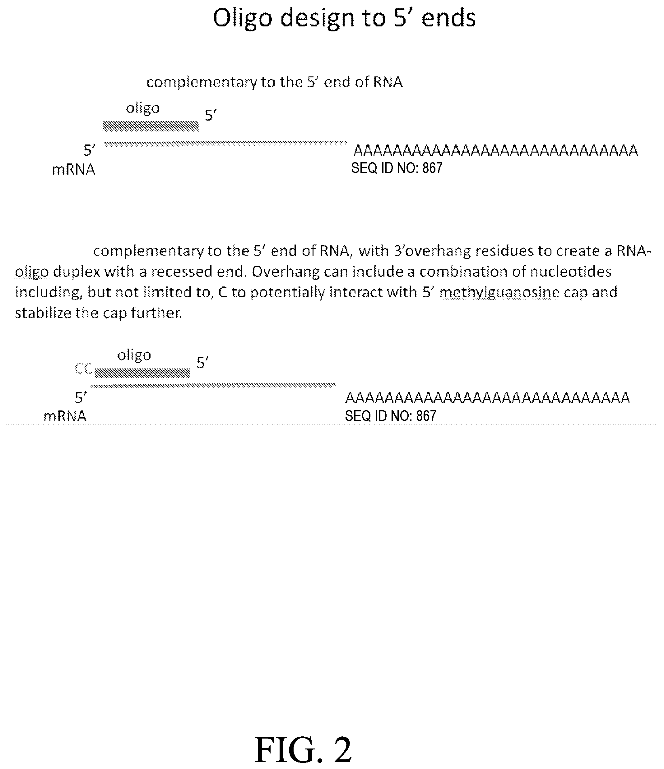 Patent US12318489 Figure 2 – Nanoparticle formulations for delivery of nucleic acid complexes