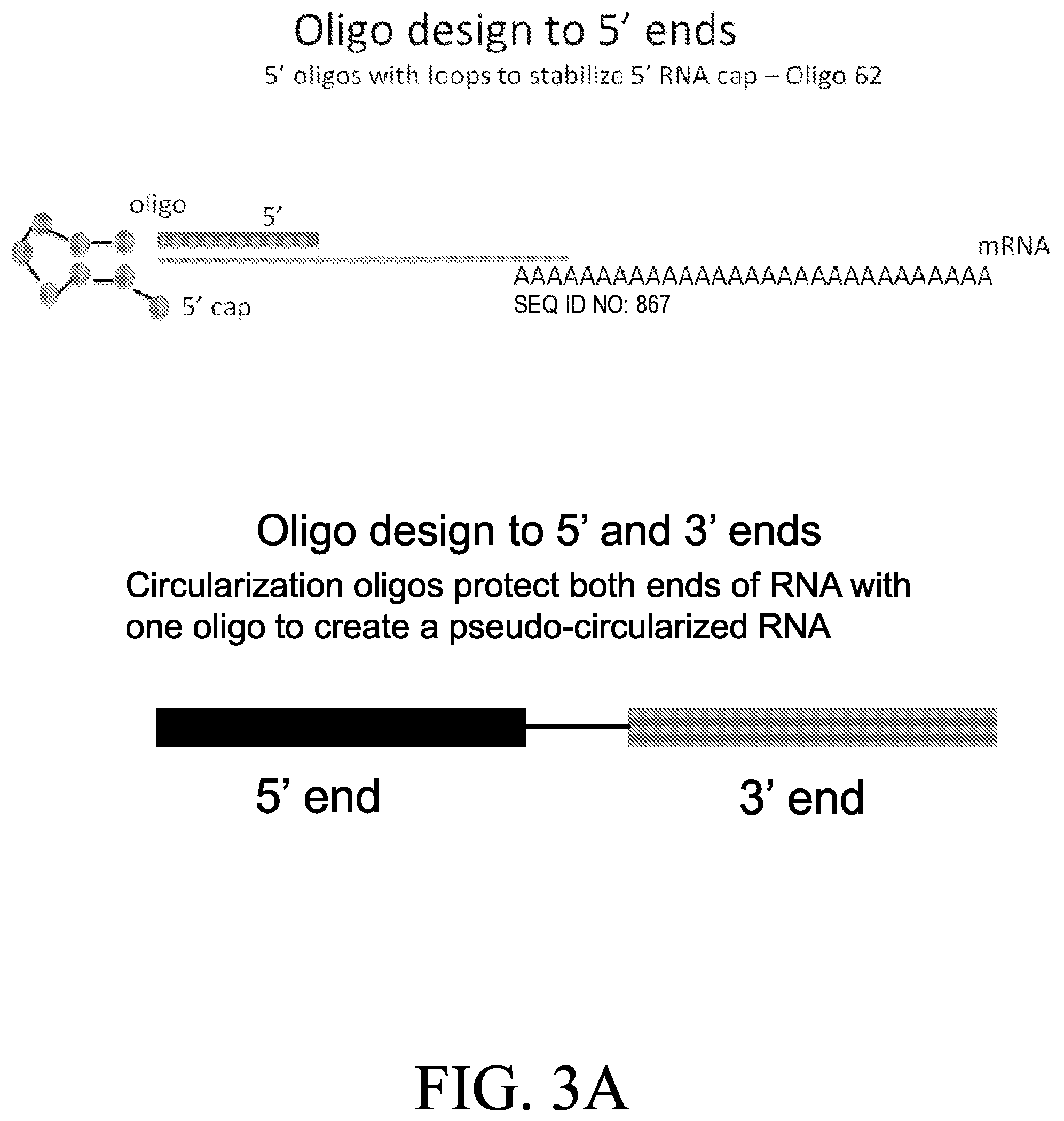 Patent US12318489 Figure 3 – Nanoparticle formulations for delivery of nucleic acid complexes