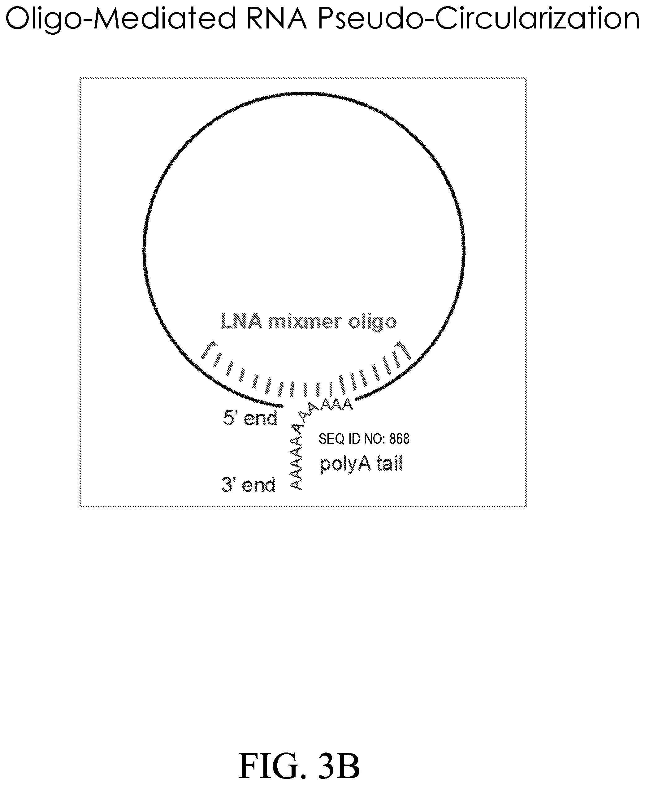 Patent US12318489 Figure 4 – Nanoparticle formulations for delivery of nucleic acid complexes