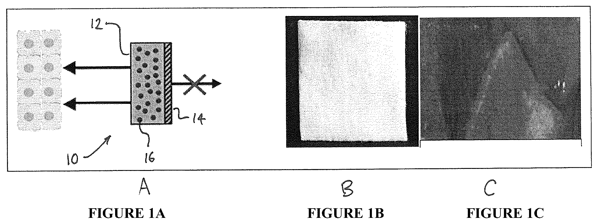 Patent US12318491 — Intraoperative topically-applied non-implantable rapid release patch — Figure 1
