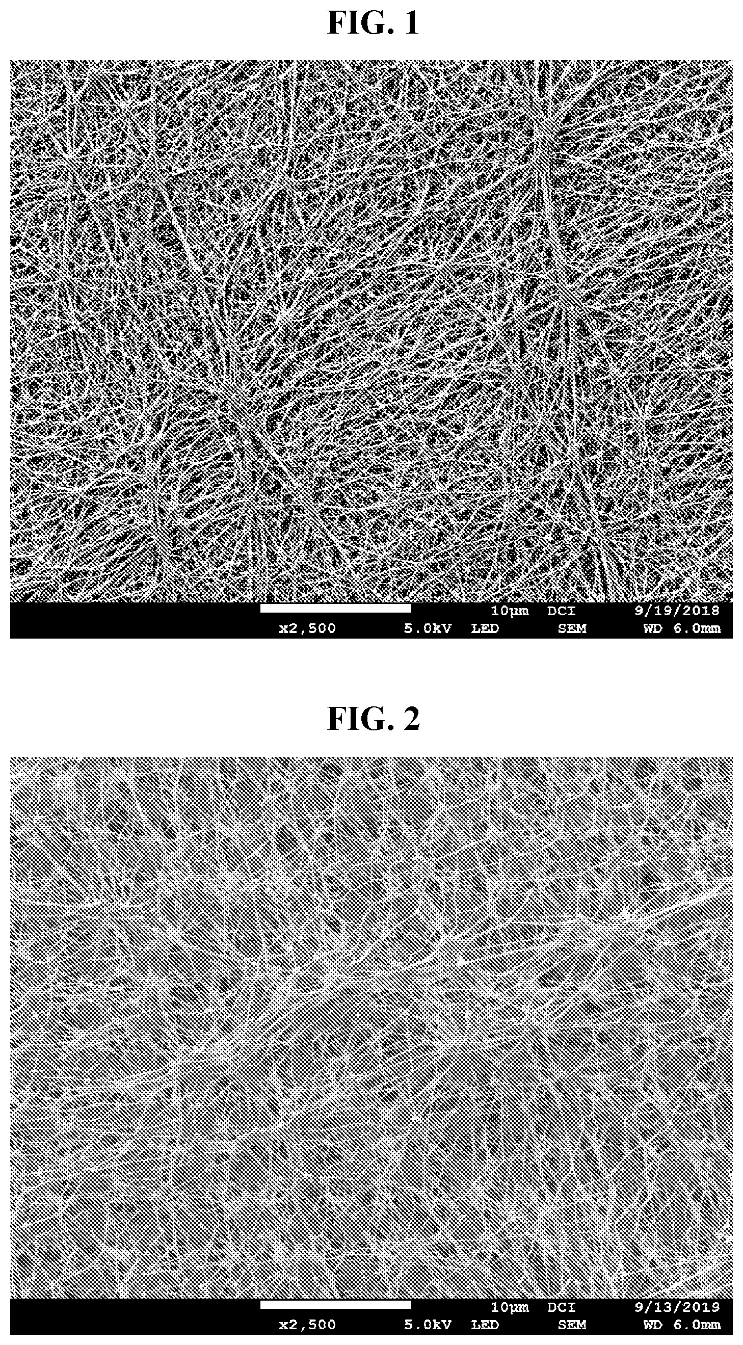 Patent US12318722 — Porous PTFE membrane — Figure 1