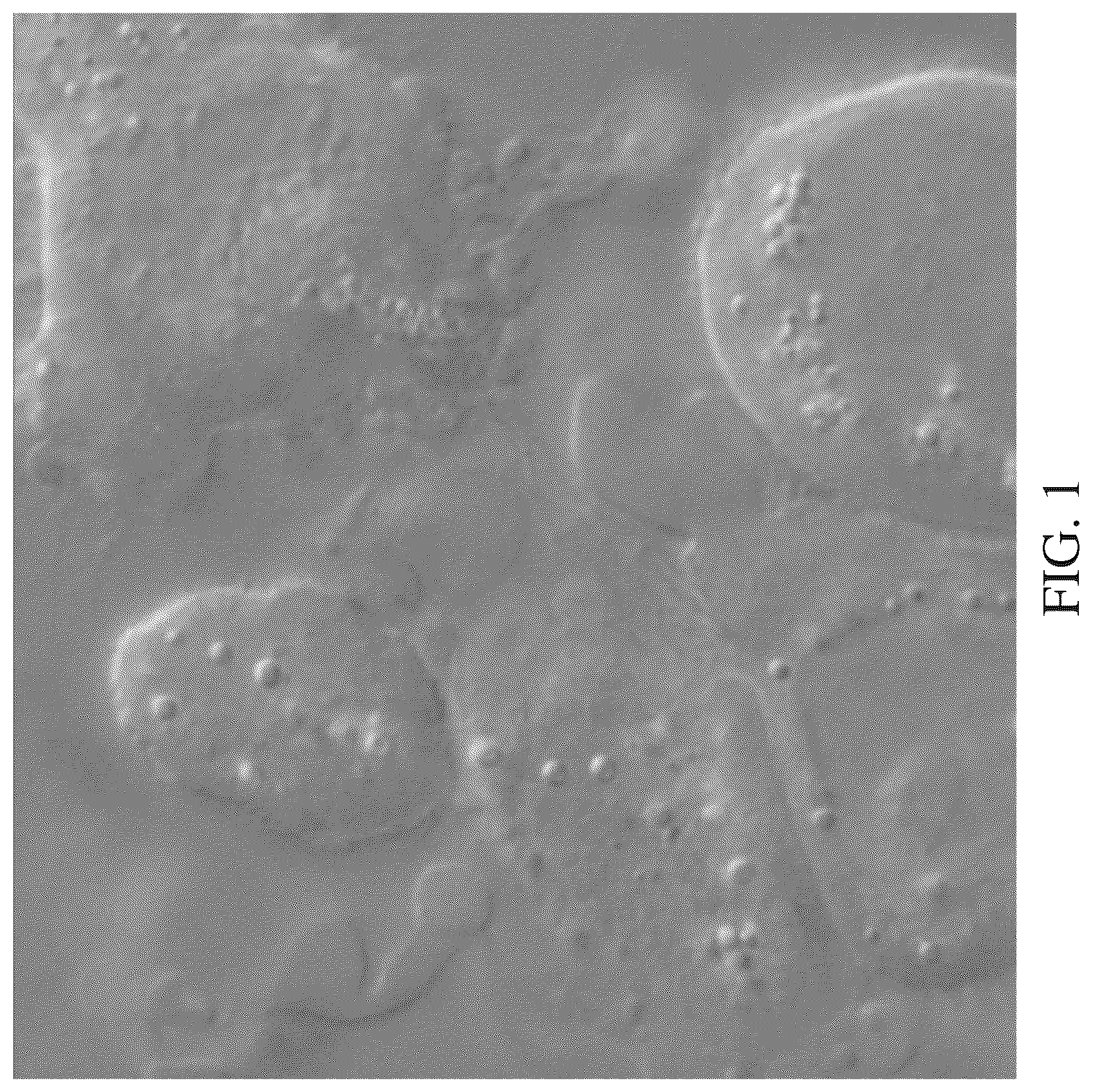 Patent US12318733 — Systems and methods of marker based direct integrity testing of membranes — Figure 1