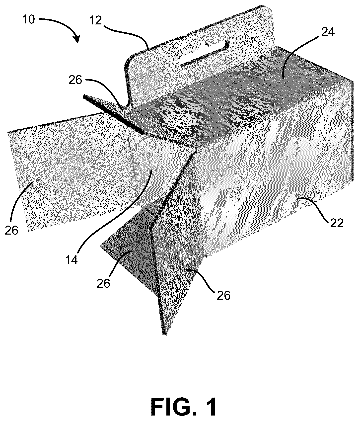 Patent US12319479 — One-piece carton with hang tab — Figure 1