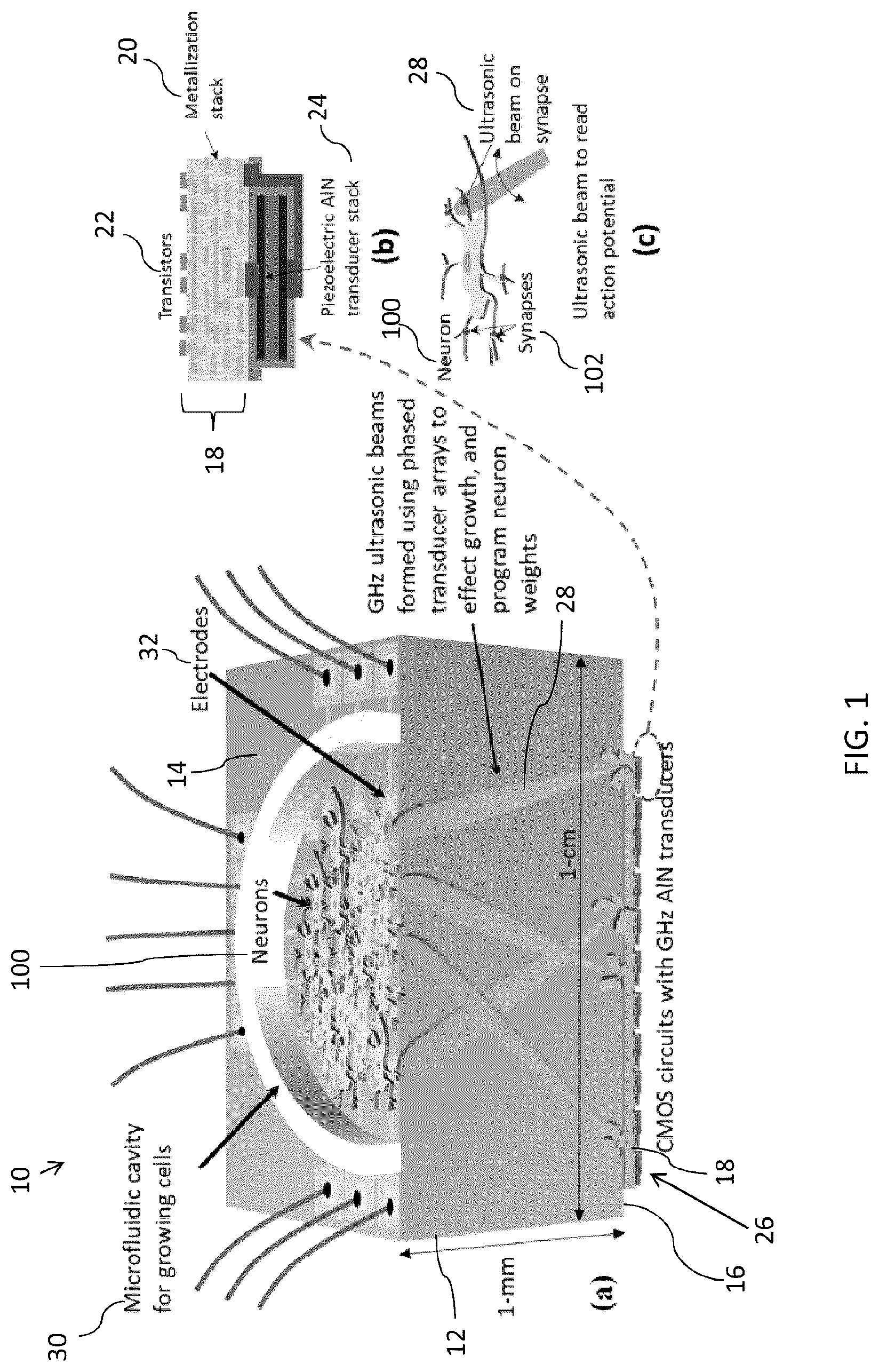 Patent US12319567 — GHz-THz ultrasonics and optics for neurotechnology devices, methods, and applications — Figure 1