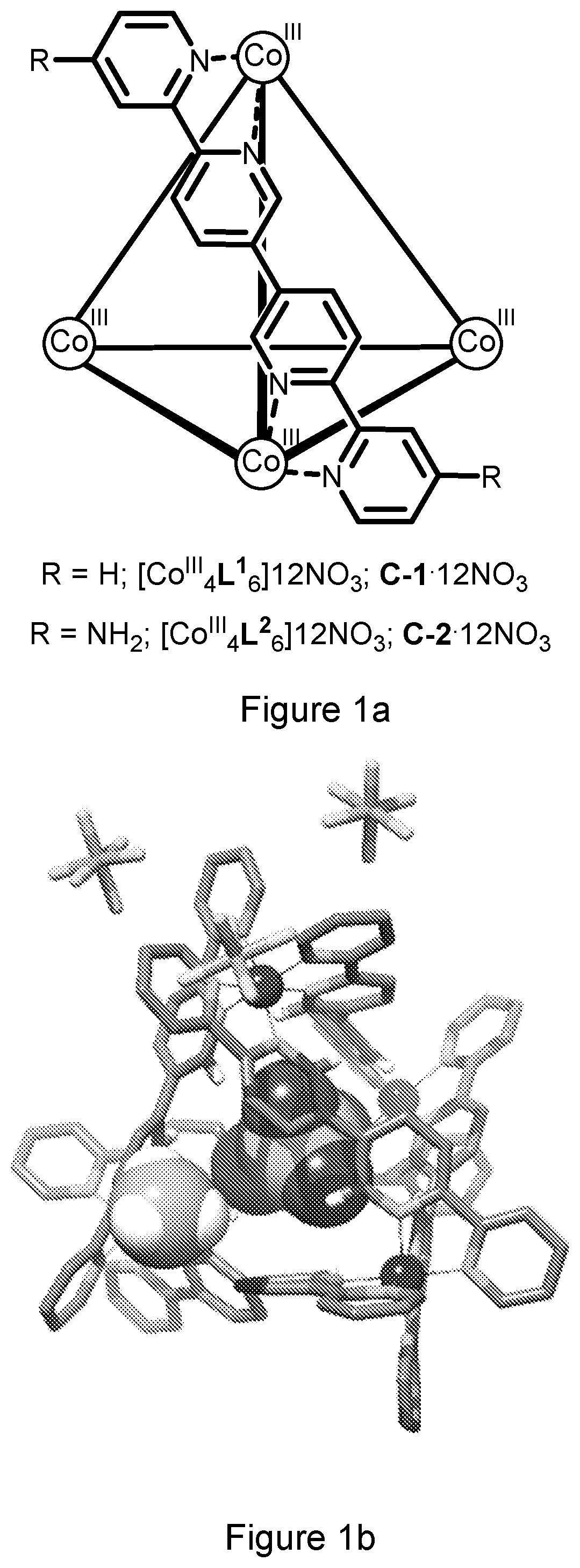 Patent US12319654 — Inert nanocapsules — Figure 1