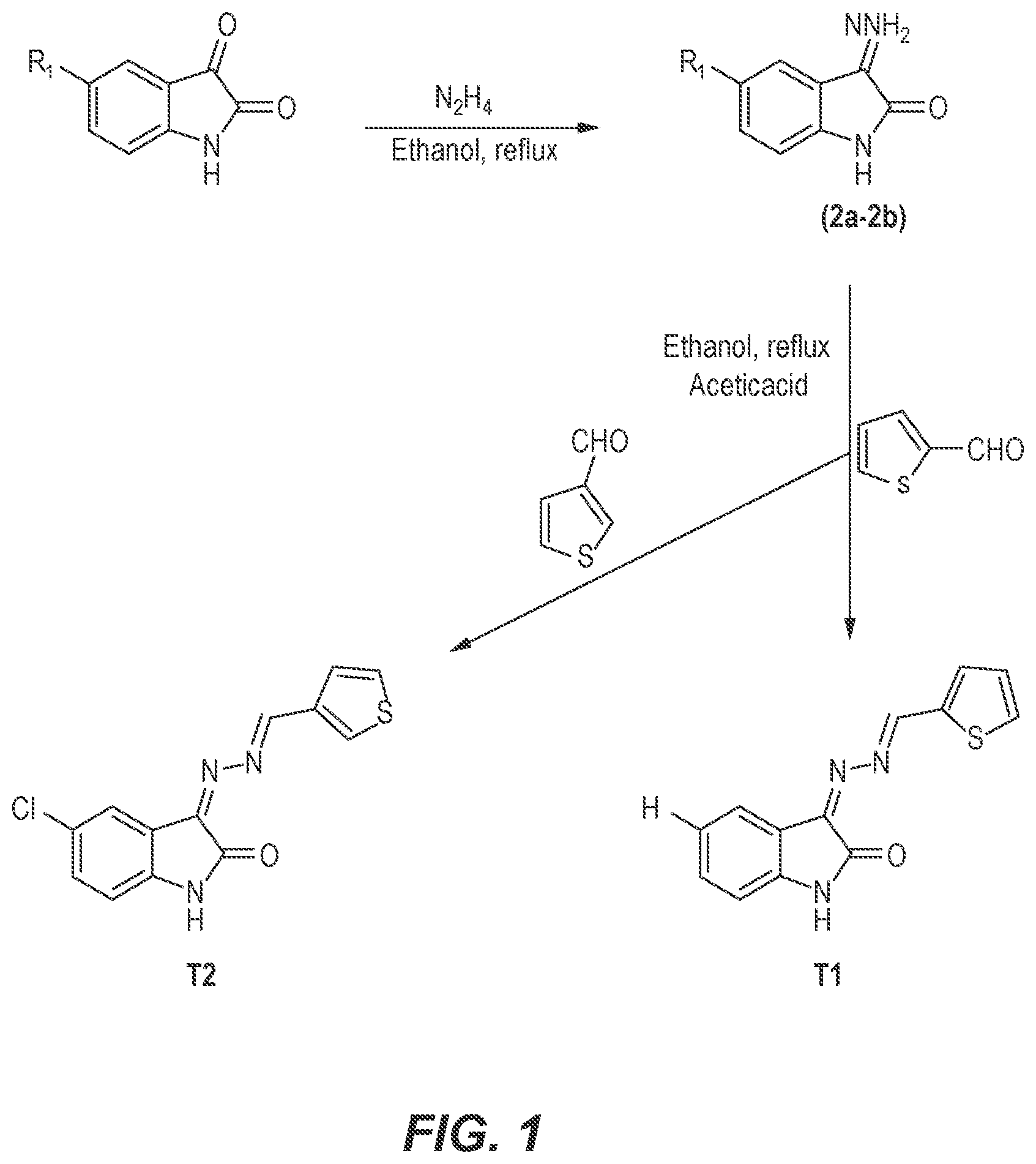 Patent US12319674 — Isatin derivatives — Figure 1