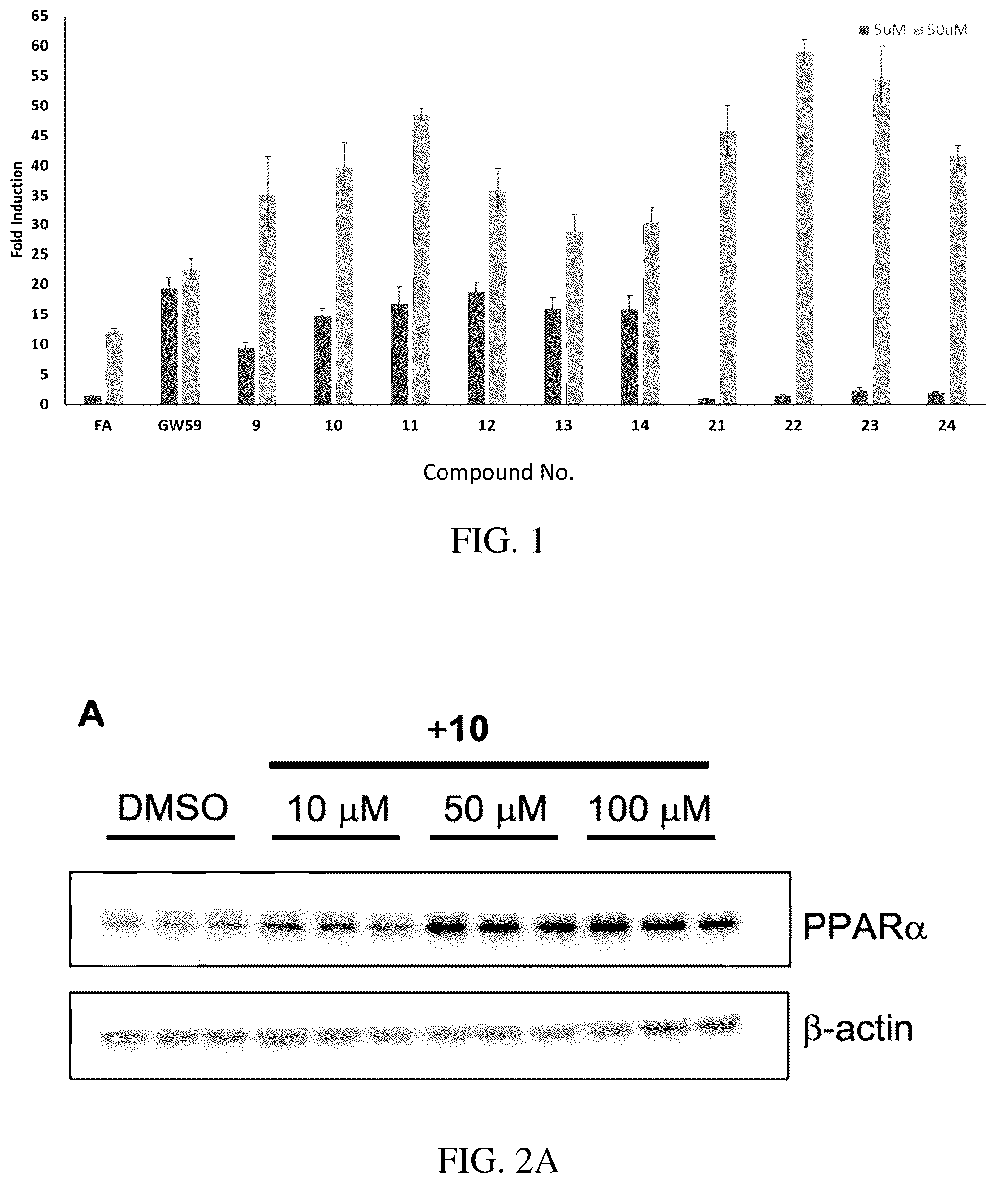 Patent US12319708 — Agonists of peroxisome proliferator-activated receptor alpha (PPARα) and methods of use — Figure 1