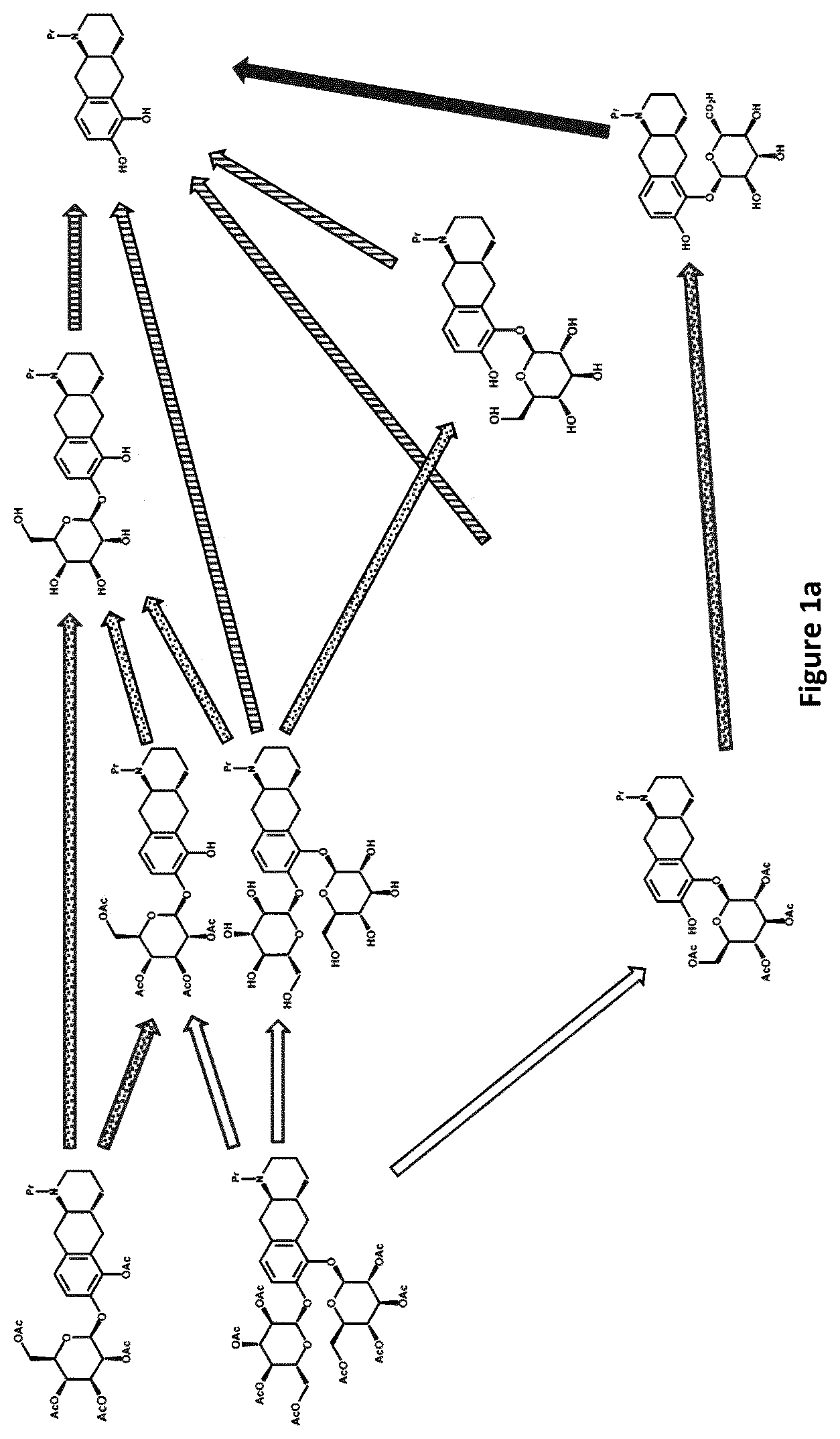 Patent US12319710 — Catecholamine prodrugs for use in the treatment of Parkinson's diseases — Figure 1