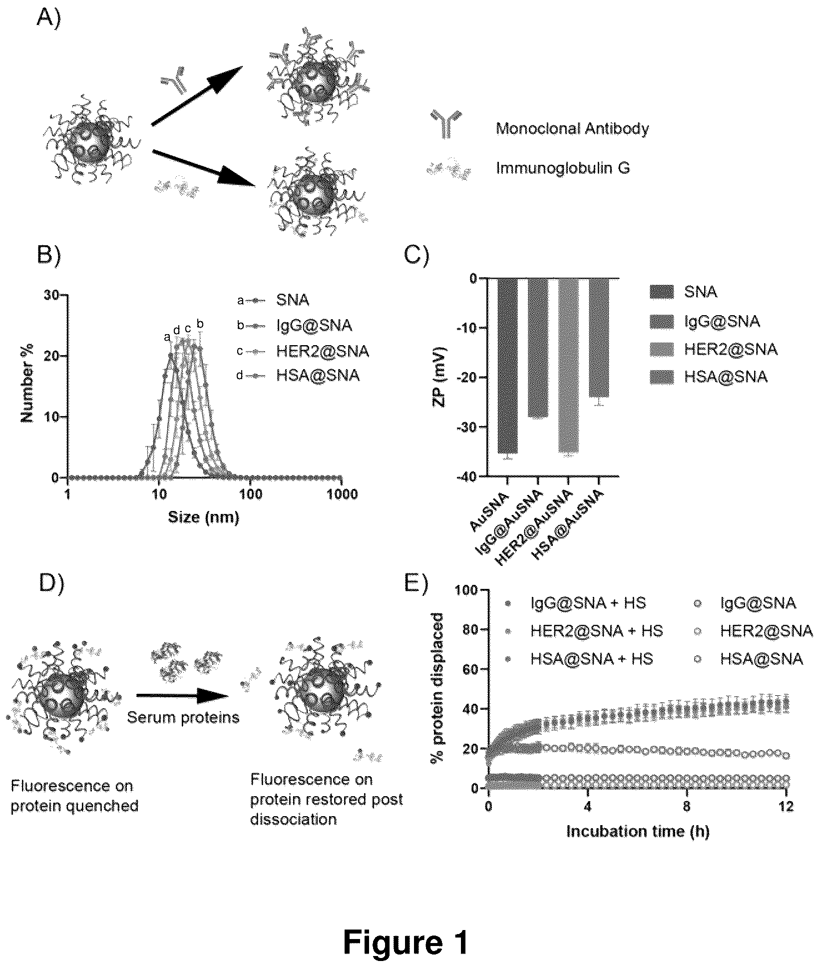 Patent US12319711 — Spherical nucleic acids with tailored and active protein coronae — Figure 1