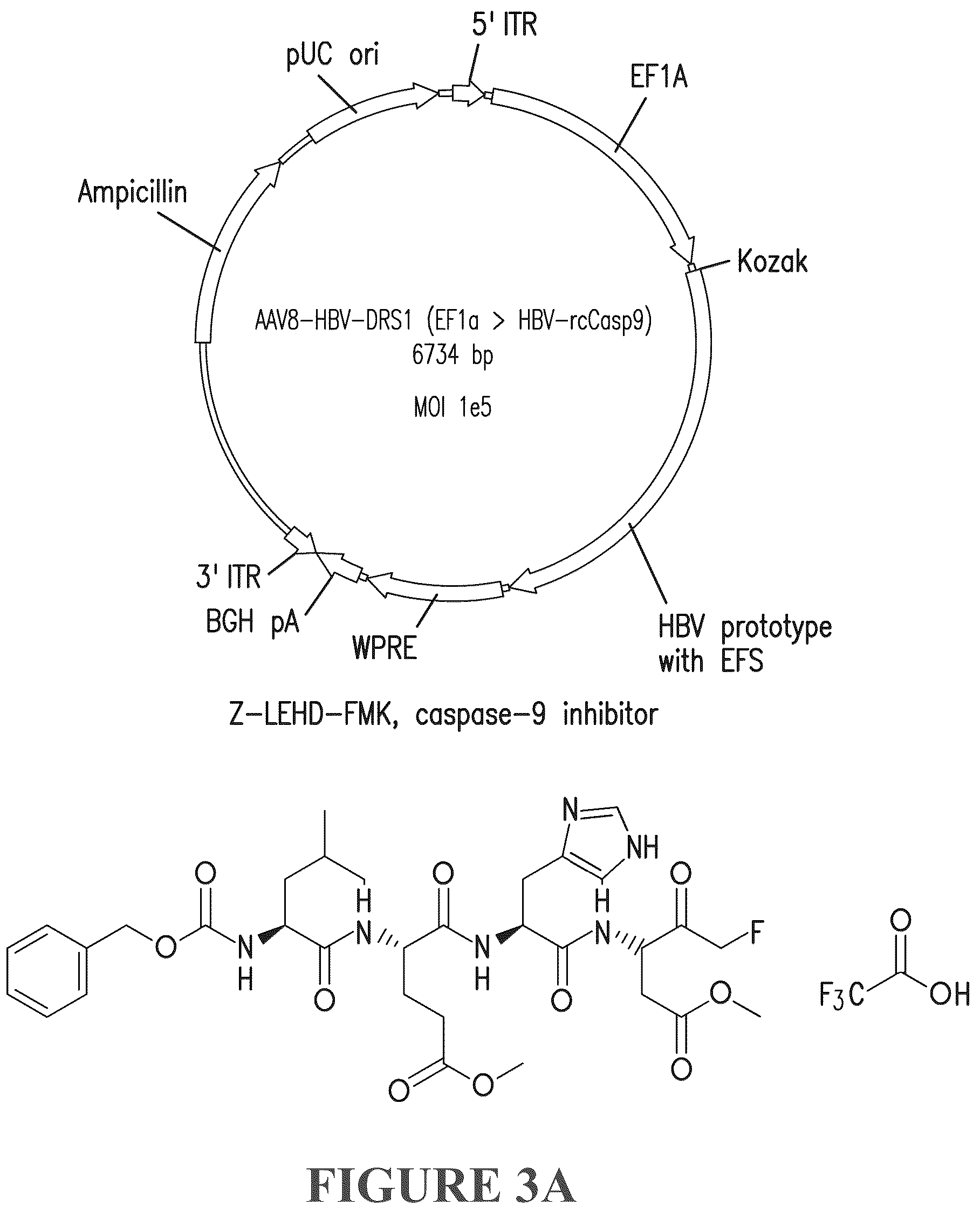 Patent US12319714 Figure 5 – Compositions and methods for treating viral infections