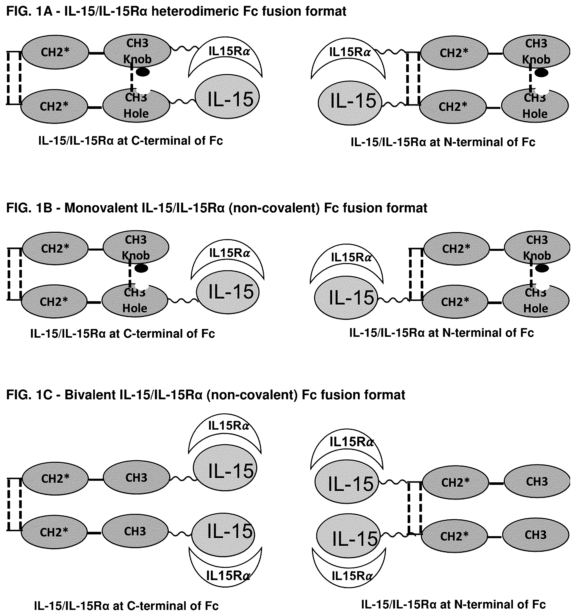 Patent US12319722 — Interleukin-15 (IL-15) fusion proteins and uses thereof — Figure 1