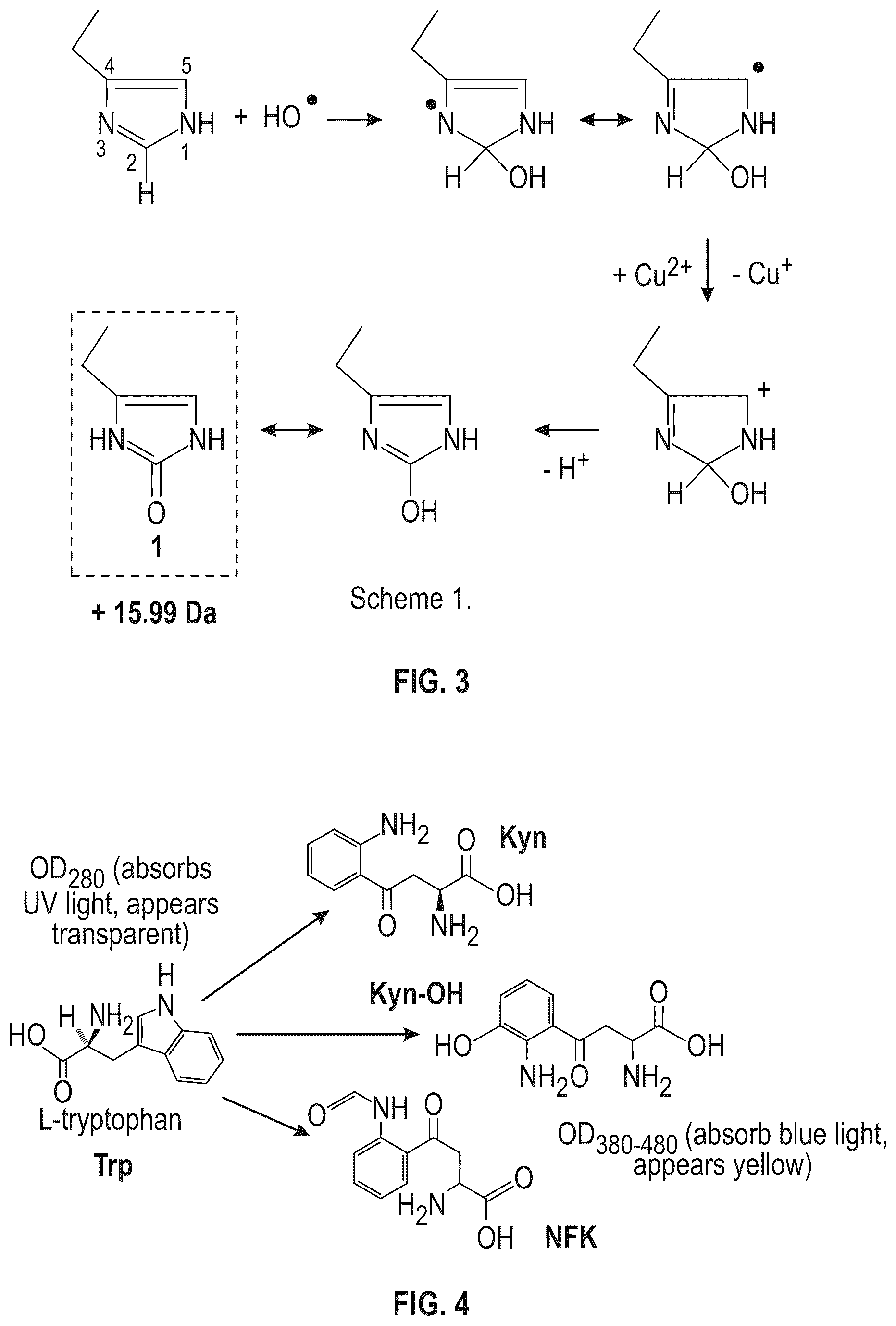 Patent US12319728 Figure 3 – Anti-VEGF protein compositions and methods for producing the same