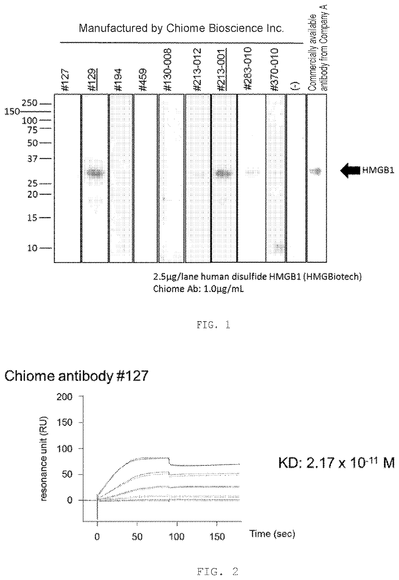 Patent US12319731 — Human monoclonal antibody binding specifically to human HMGB1, and pharmaceutical composition for treating or preventing Alzheimer's disease containing said human monoclonal antibody — Figure 1