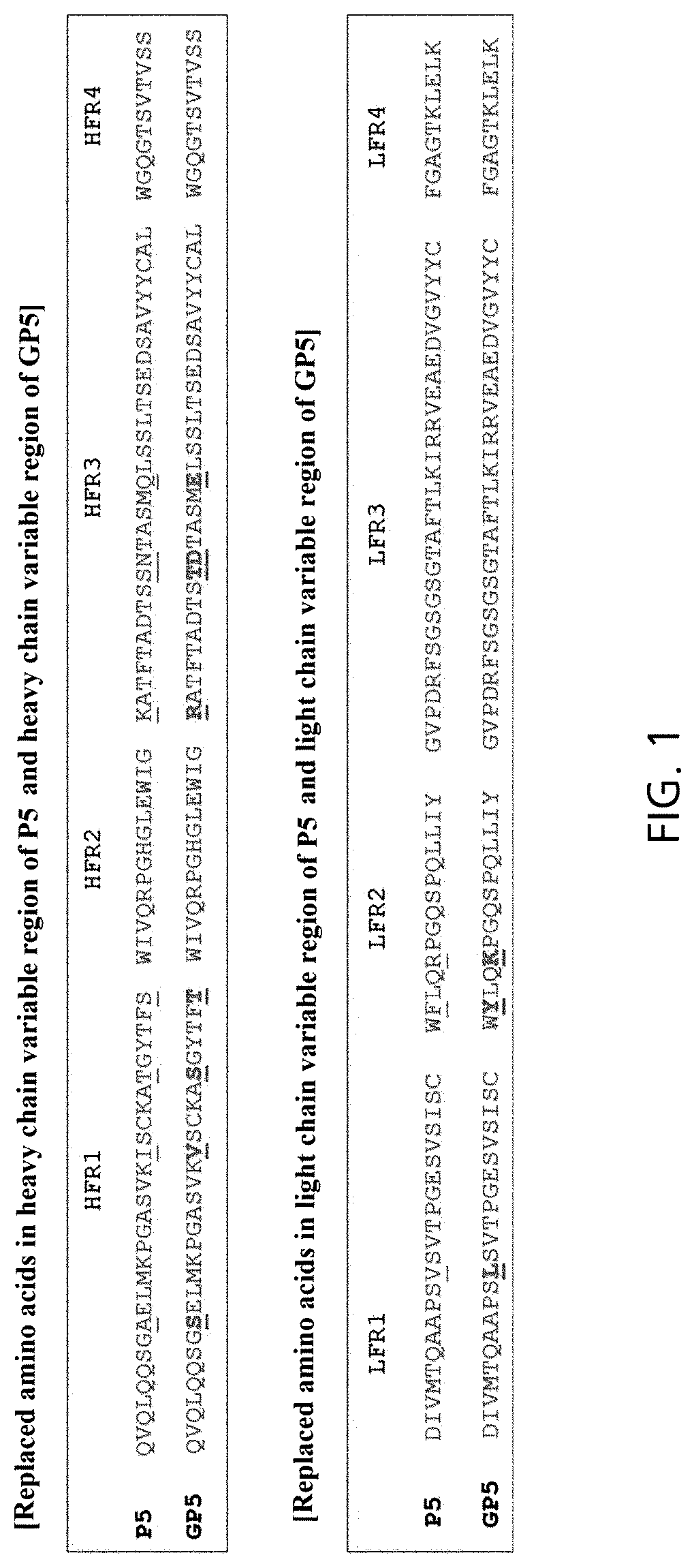 Patent US12319732 — Anti-beta 1 integrin humanized antibody, and pharmaceutical composition for treating cancer, comprising same — Figure 1