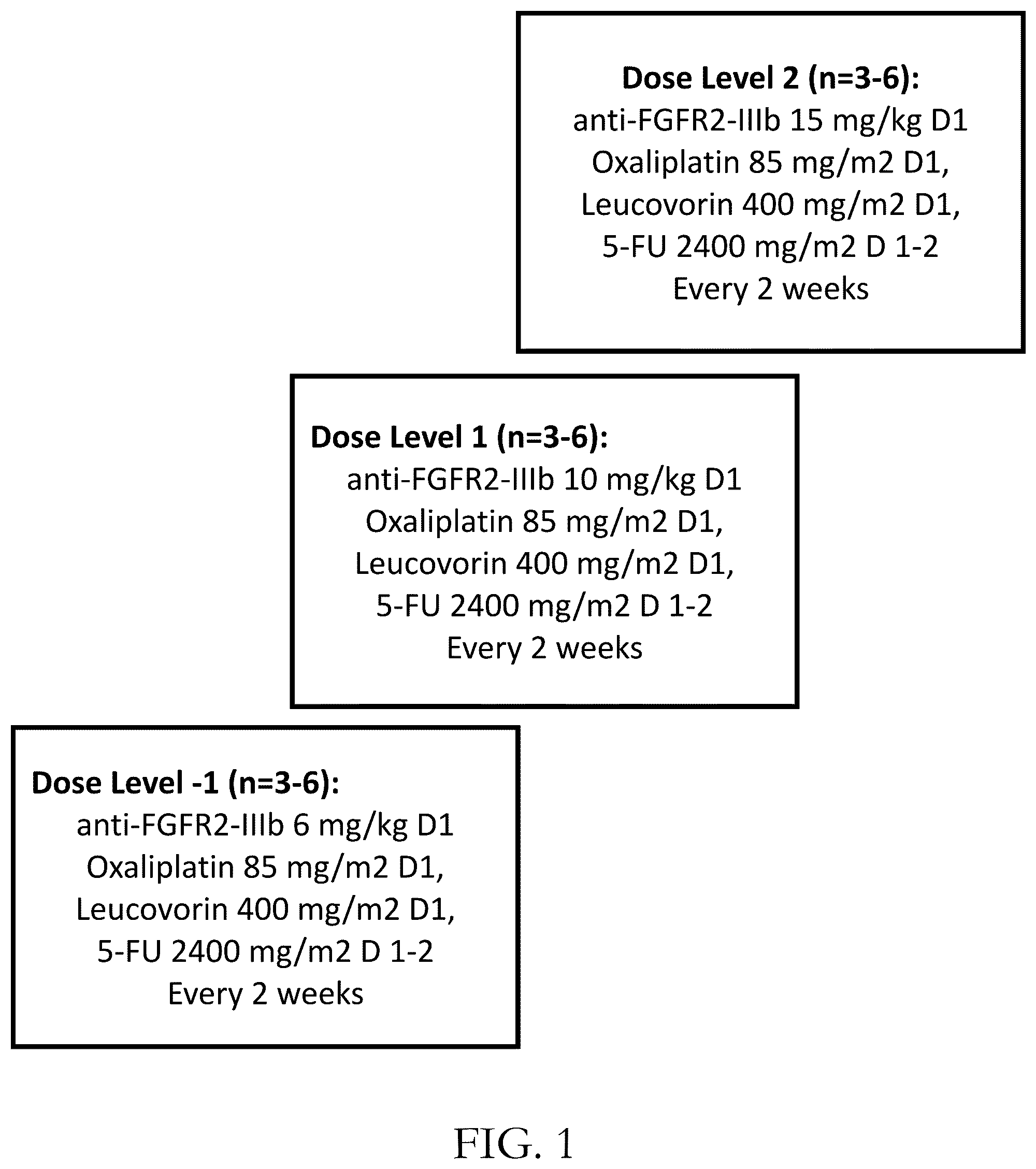 Patent US12319738 — Anti-FGFR2 antibodies in combination with chemotherapy agents in gastric cancer — Figure 1