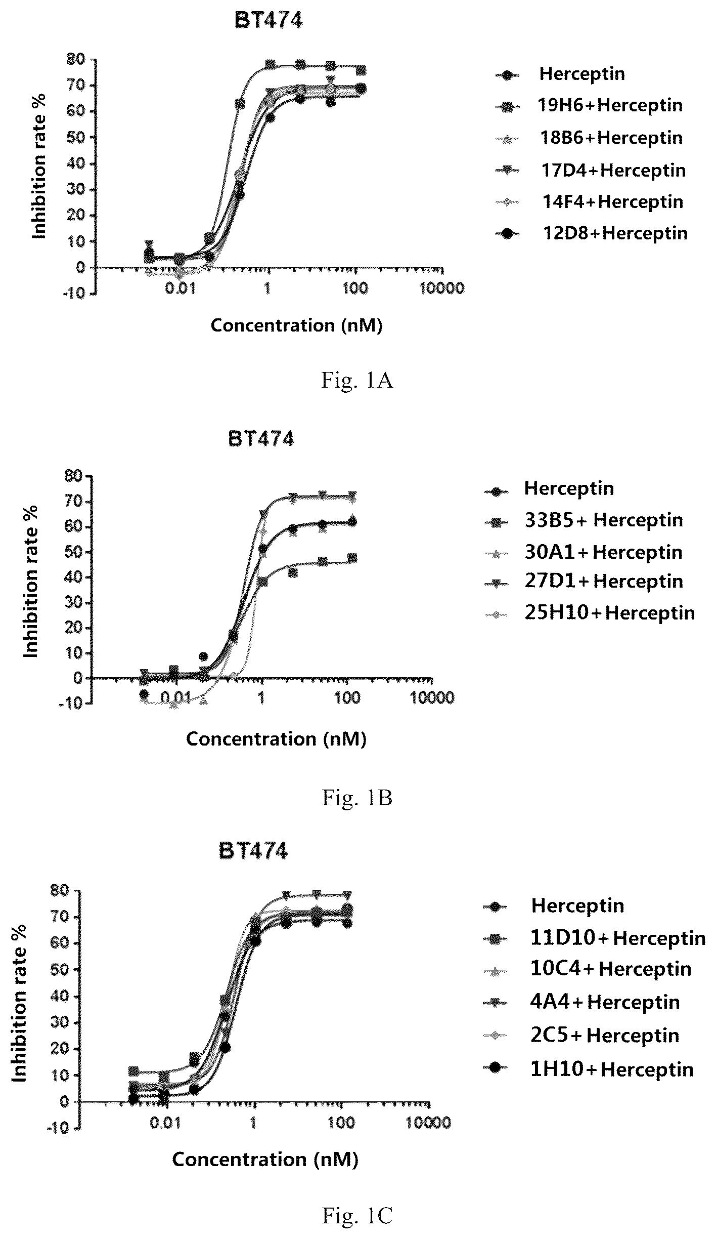 Patent US12319748 — Antibody binding to human HER2 and preparation method and use thereof — Figure 1