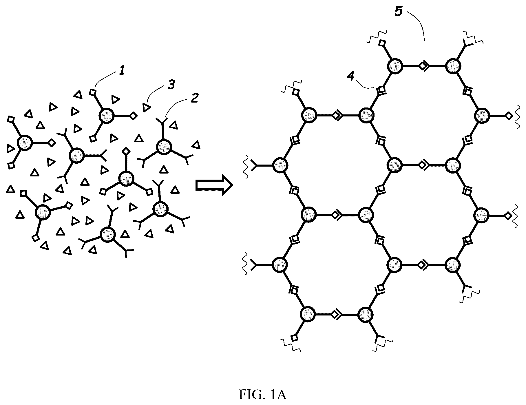 Patent US12319787 — Method for directly creating a film of 2D polymers from monomer solutions — Figure 1