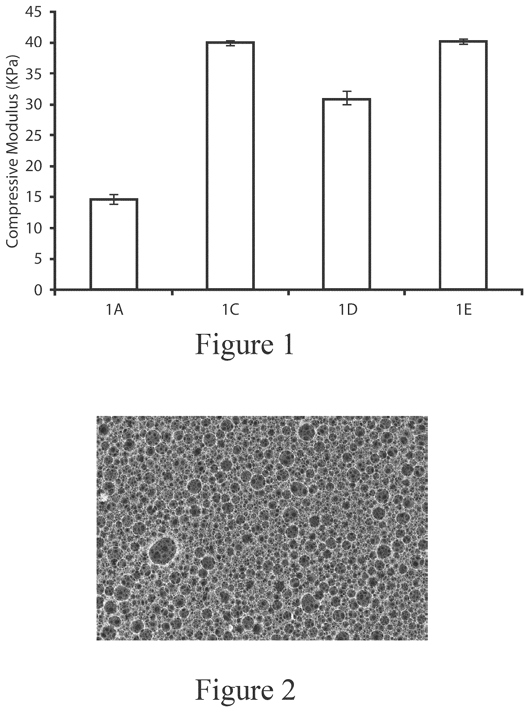 Patent US12319804 — High internal phase emulsion foam having cellulose nanoparticles — Figure 1