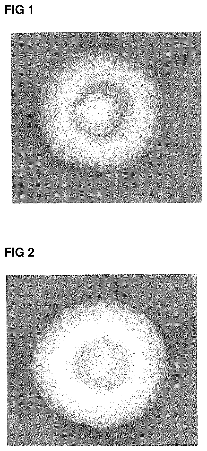 Patent US12319837 — Method for producing conductive polymer-containing porous body — Figure 1