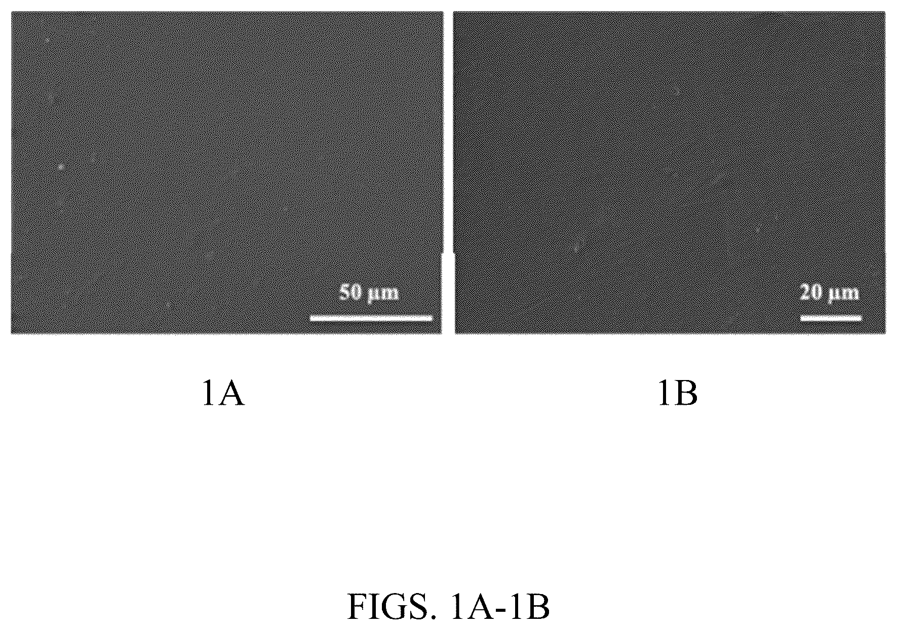 Patent US12319884 — Biomass fractionation method for producing biomass of varying ash content and uses thereof — Figure 1