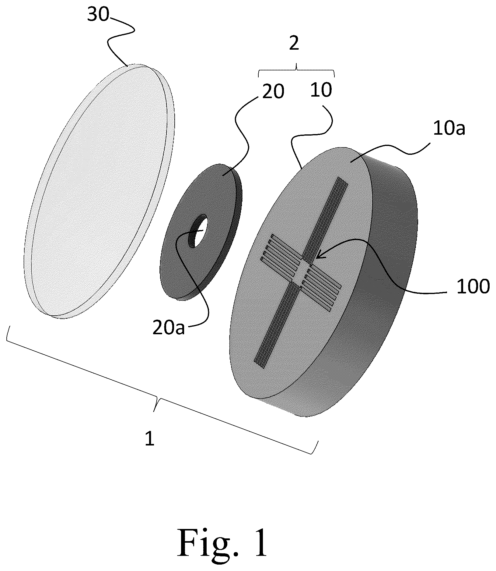 Patent US12319905 — Medical device having space for assisting in embedding of bio sample in embedding material — Figure 1