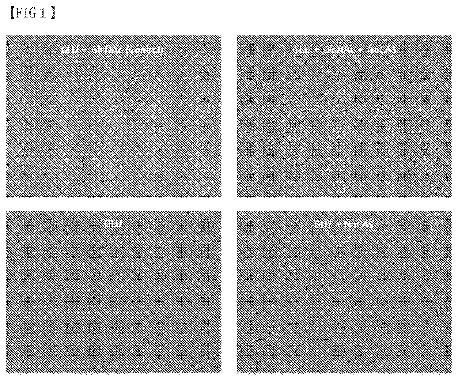 Patent US12319907 — Composition of culture media for Faecalibacterium prausnitzii — Figure 1
