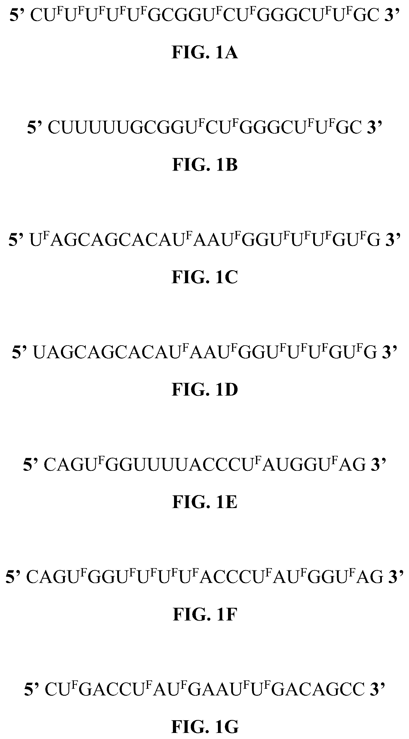 Patent US12319913 — 5-halouracil-modified microRNAs and their use in the treatment of cancer — Figure 1