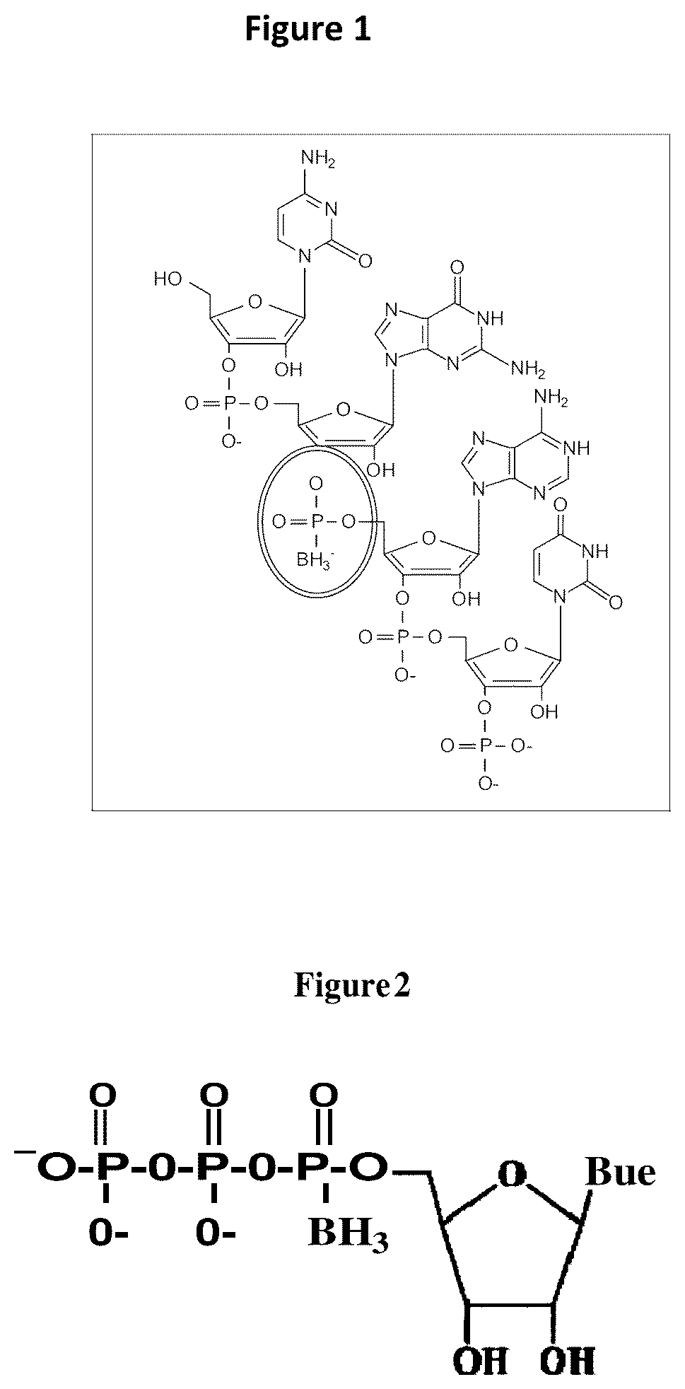 Patent US12319914 — Methods and compositions for modulating gene expression using oligonucleotide based drugs administered in vivo or in vitro — Figure 1