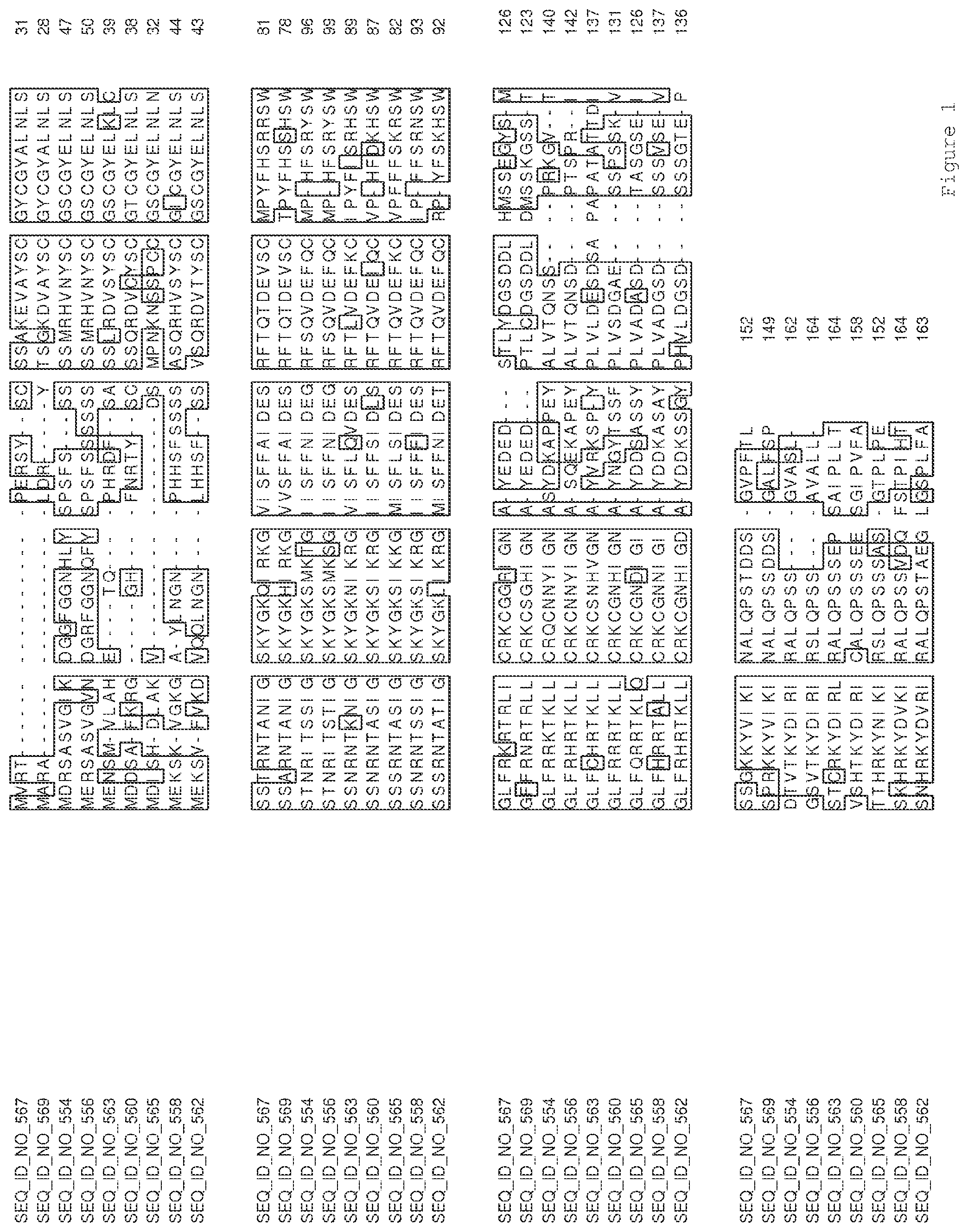 Patent US12319921 — Transgenic plants having increased biomass — Figure 1