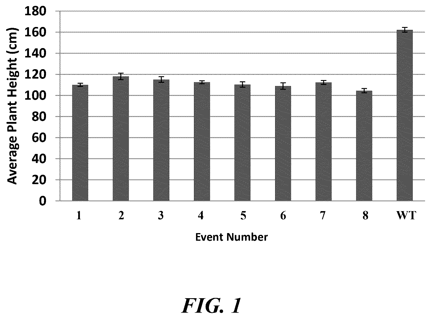 Patent US12319922 Figure 1 – Methods and compositions for short stature plants through manipulation of gibberellin metabolism to increase harvestable yield