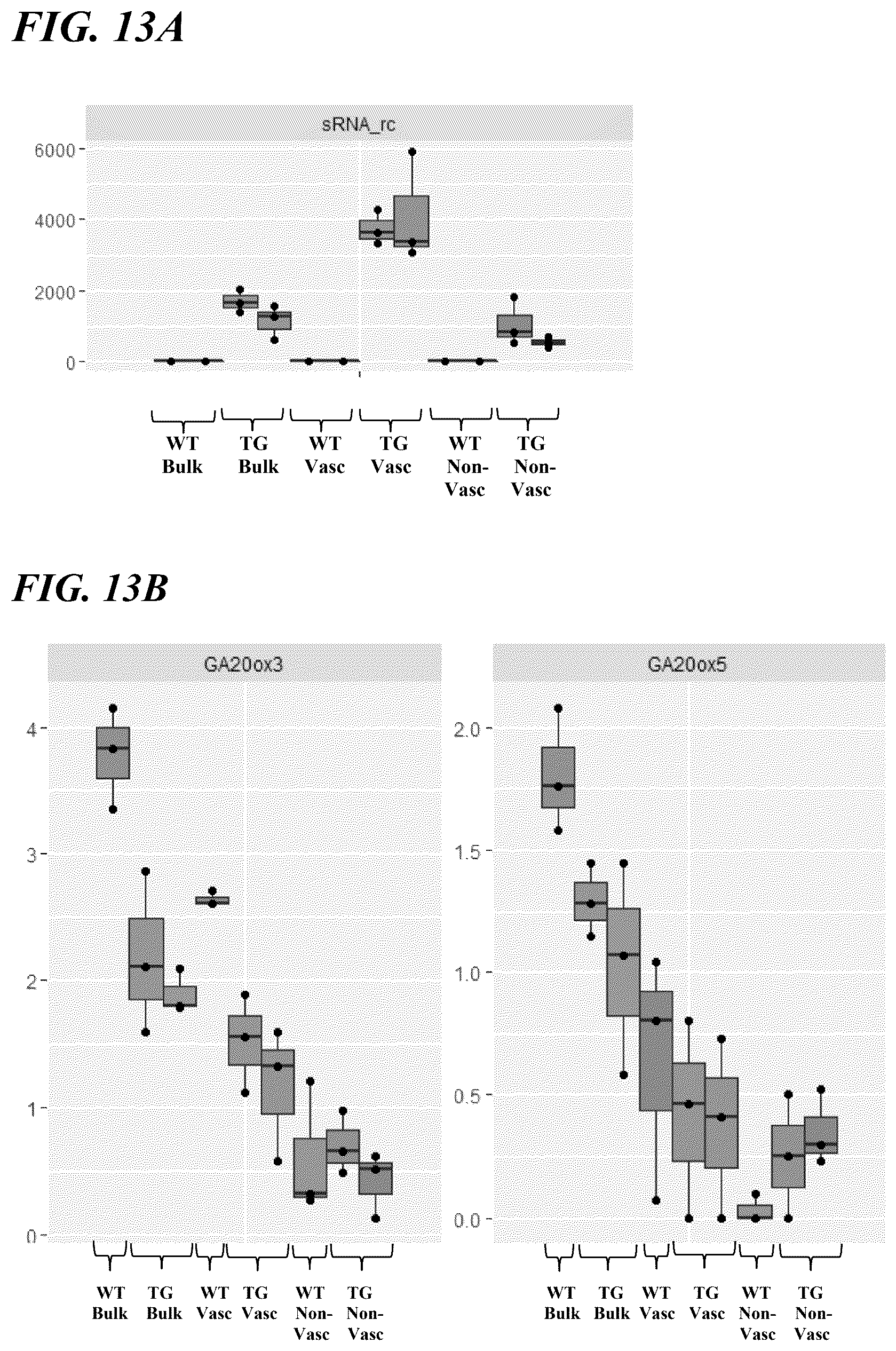 Patent US12319922 Figure 13 – Methods and compositions for short stature plants through manipulation of gibberellin metabolism to increase harvestable yield