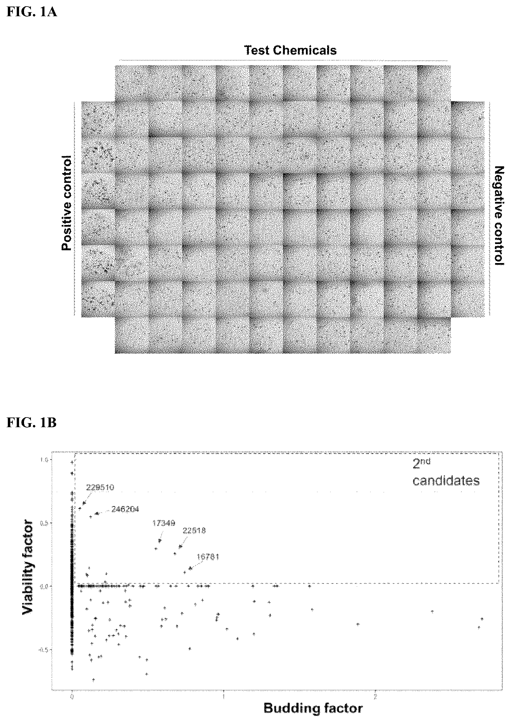 Patent US12319937 — Composition and method for culturing organoids — Figure 1