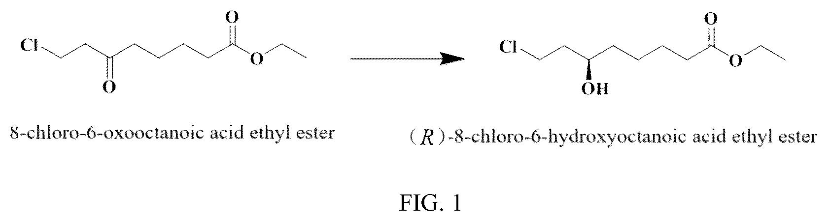 Patent US12319939 — Carbonyl reductase mutant and its application — Figure 1