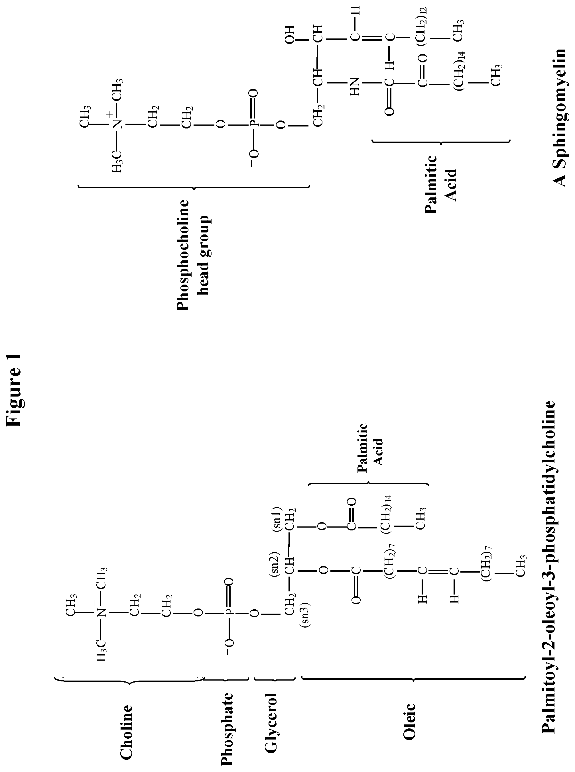 Patent US12319951 — Enzymatically synthesized omega-3 structured phospholipids — Figure 1
