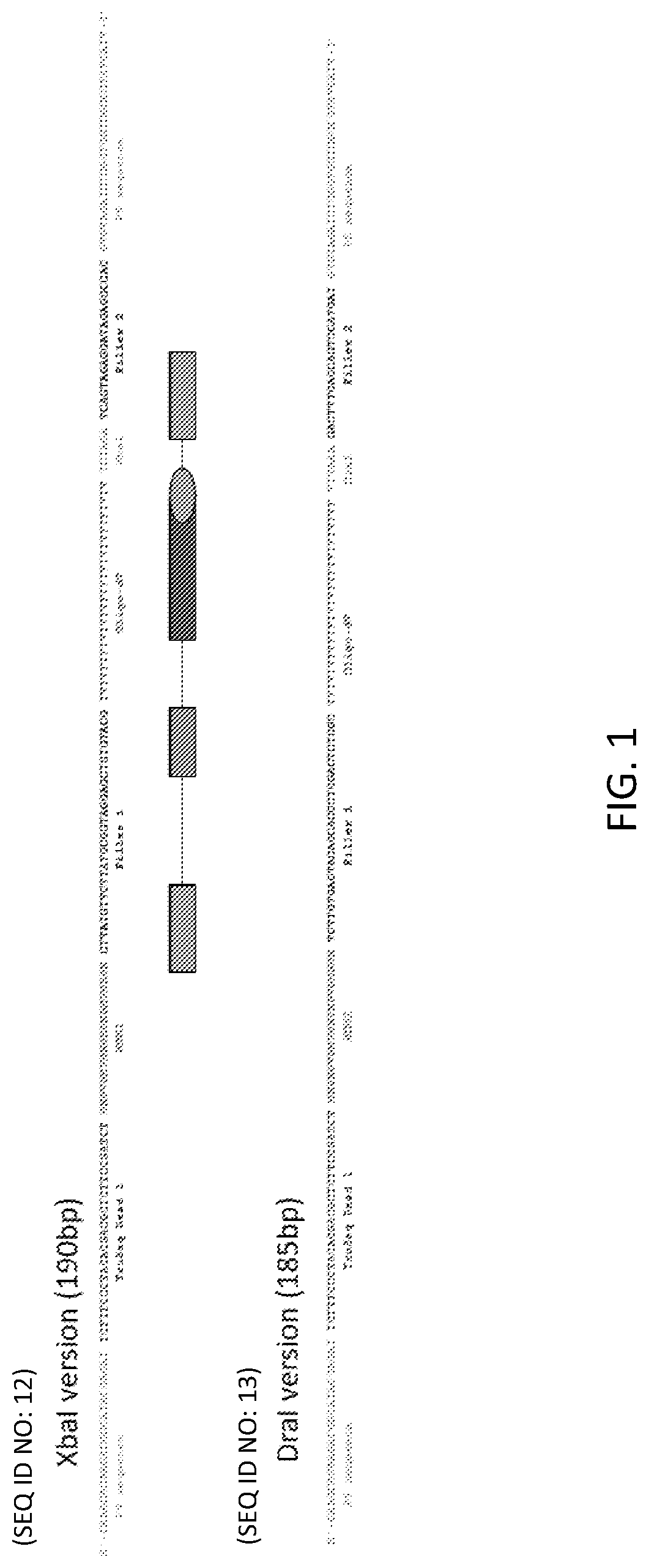 Patent US12319955 — Materials and methods for localized detection of nucleic acids in a tissue sample — Figure 1