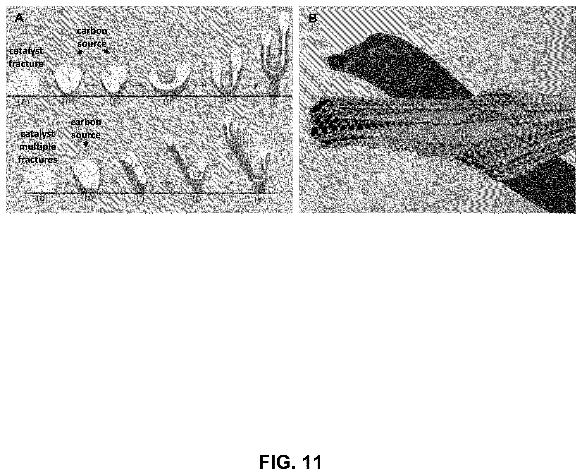 Patent US12320017 Figure 12 – Electrolysis methods that utilize carbon dioxide and a non-iron additive for making desired nanocarbon allotropes