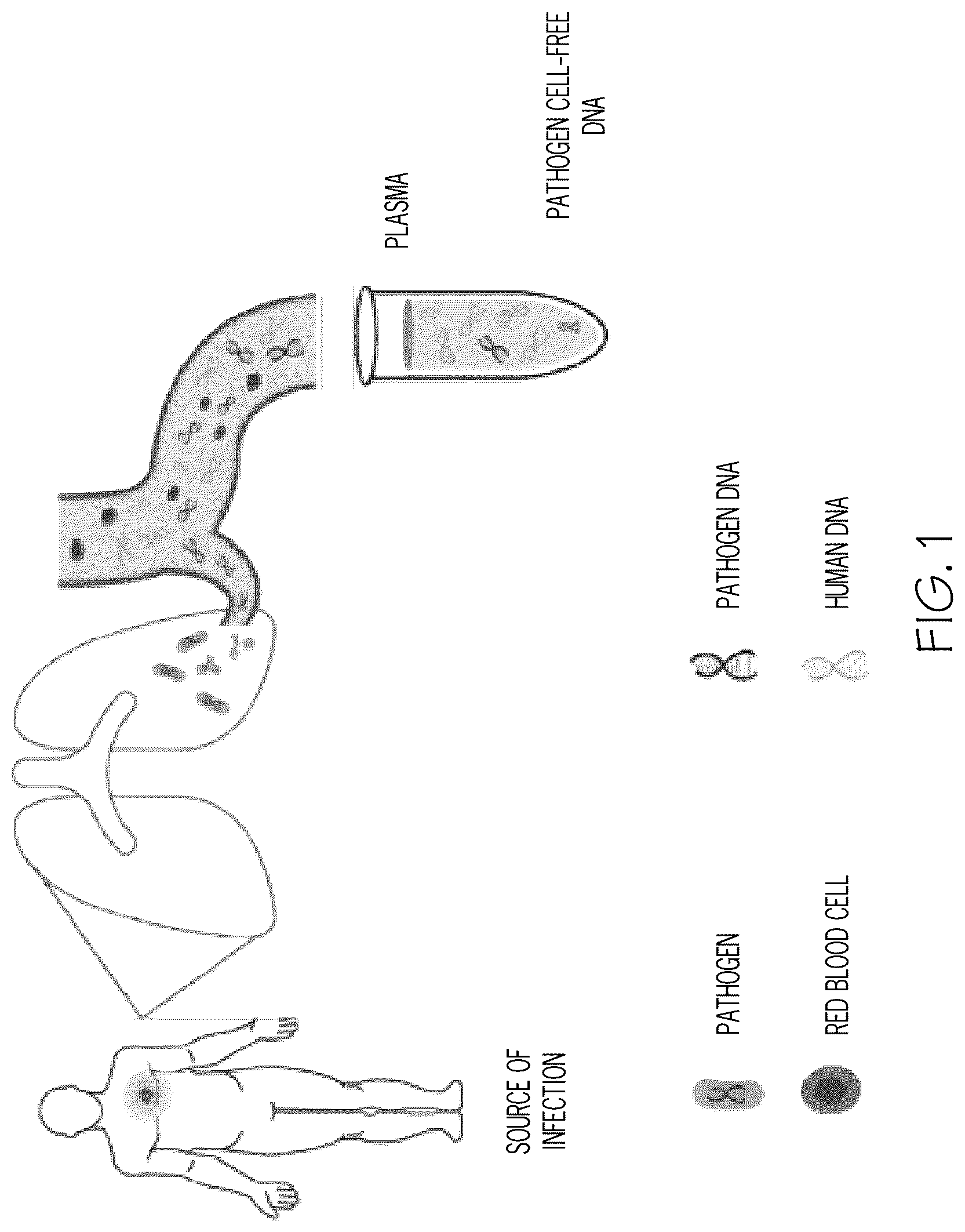Patent US12320036 — Direct-to-library methods, systems, and compositions — Figure 1