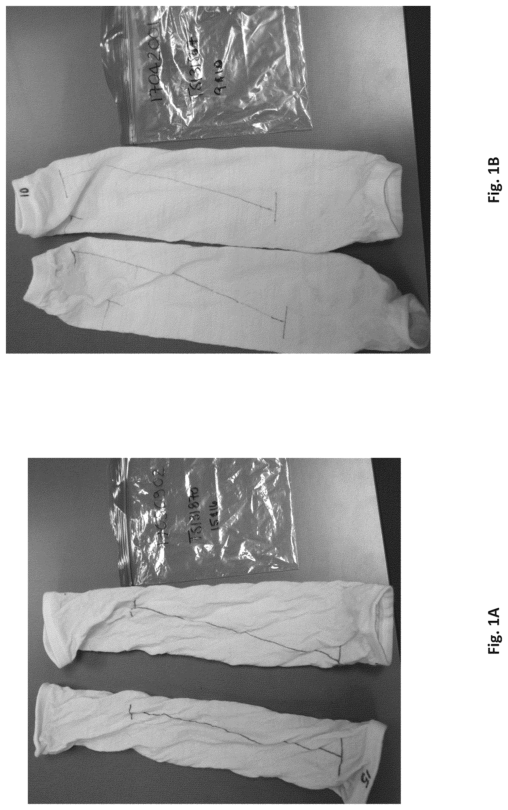 Patent US12320060 — Silk coated fabrics and products and methods of preparing the same — Figure 1