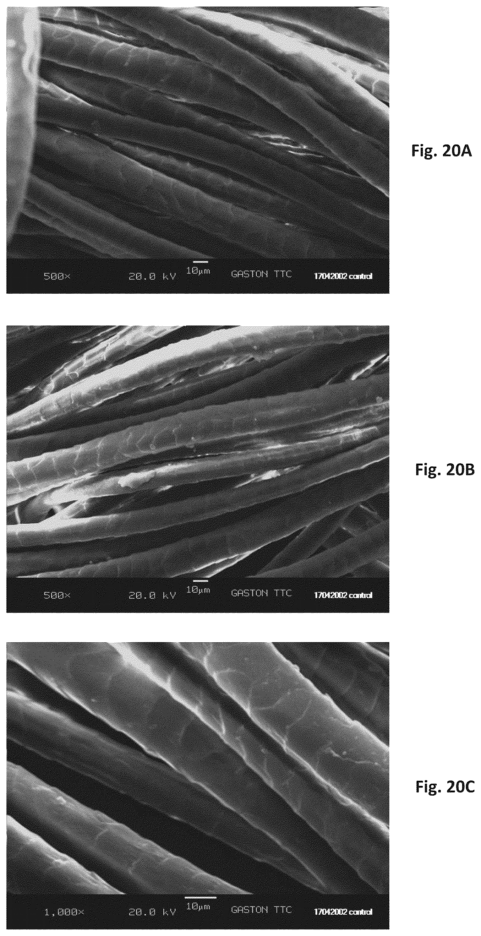 Patent US12320060 Figure 20 – Silk coated fabrics and products and methods of preparing the same