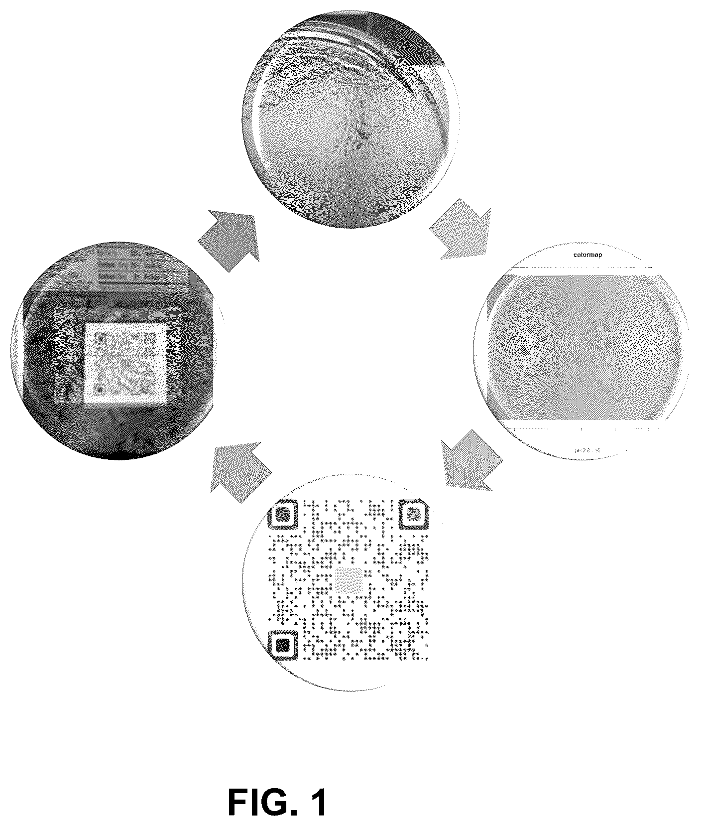 Patent US12320754 — Devices and methods for detecting or monitoring the quality of food products — Figure 1