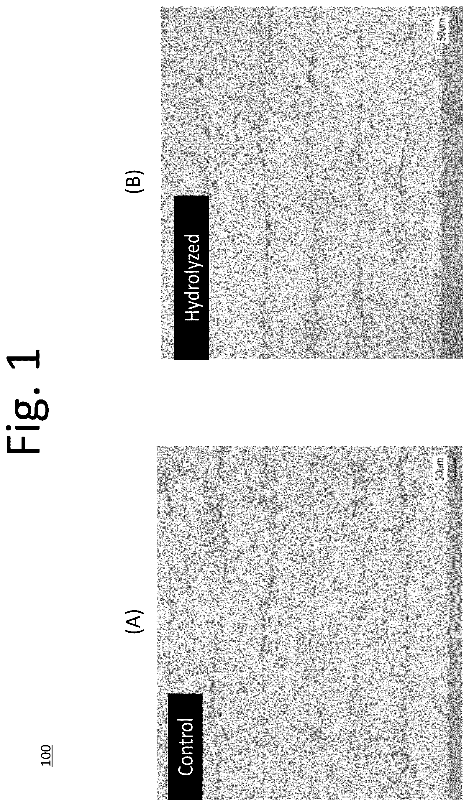 Patent US12320765 — Quality control evaluation method of cyanate ester matrix resin material within CFRP composite concerning localized hydrolytic degradation — Figure 1