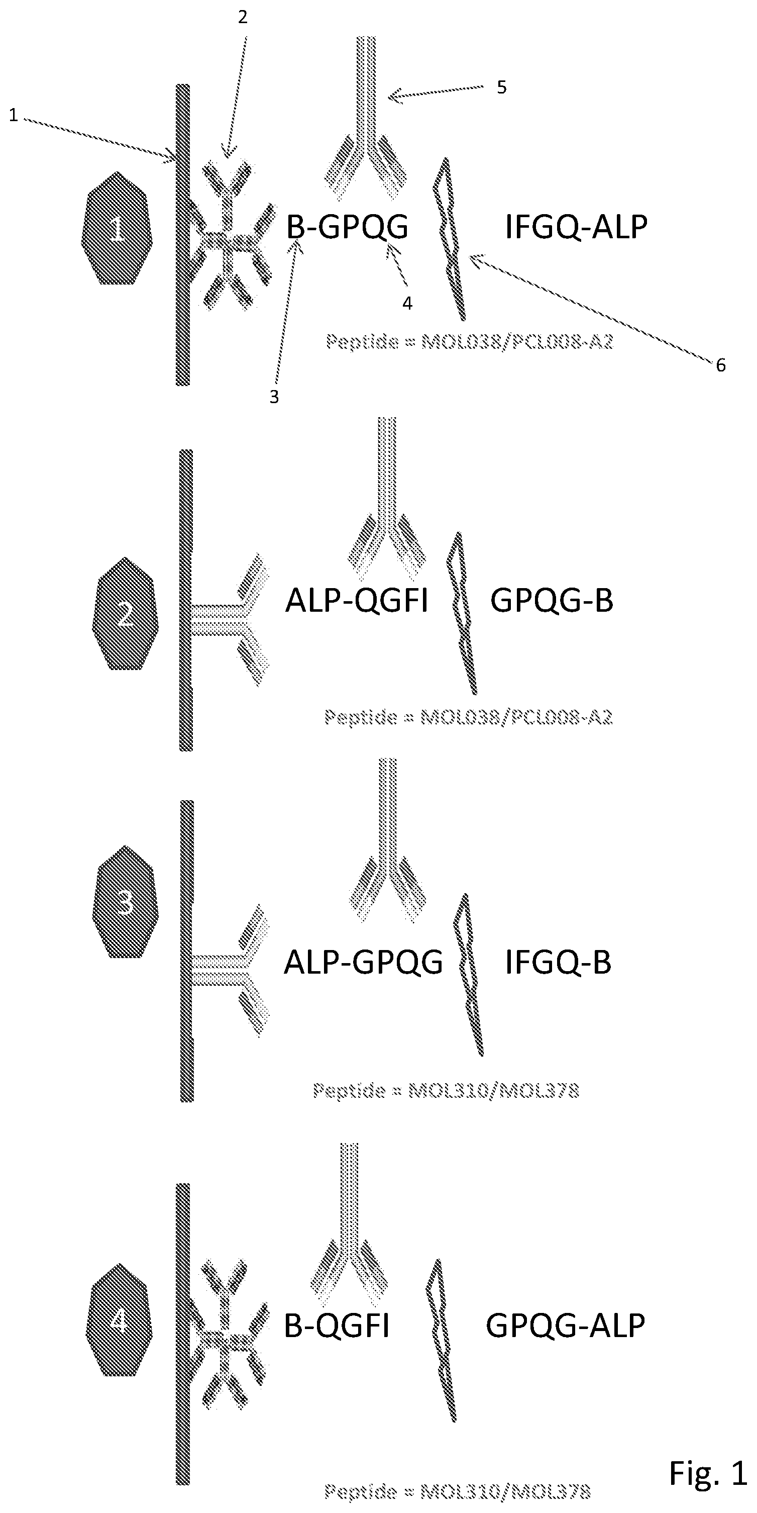 Patent US12320804 — Detection of cleavage activity of an enzyme — Figure 1