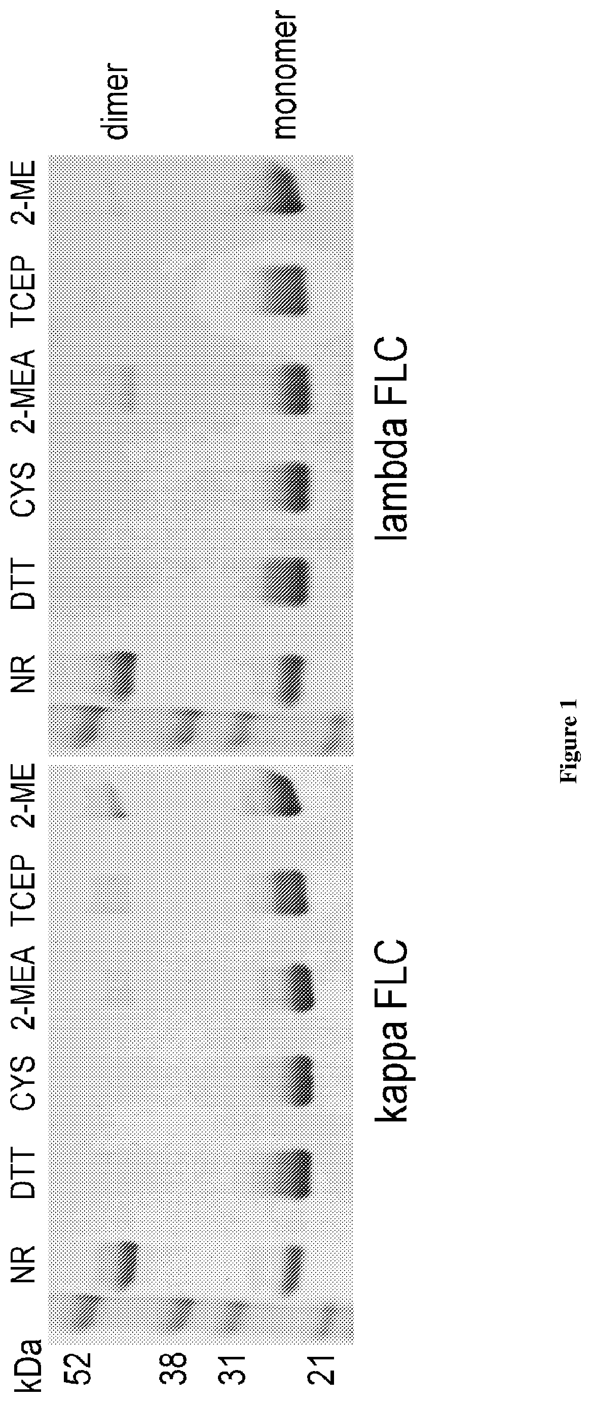 Patent US12320806 — Assay for free light chains — Figure 1