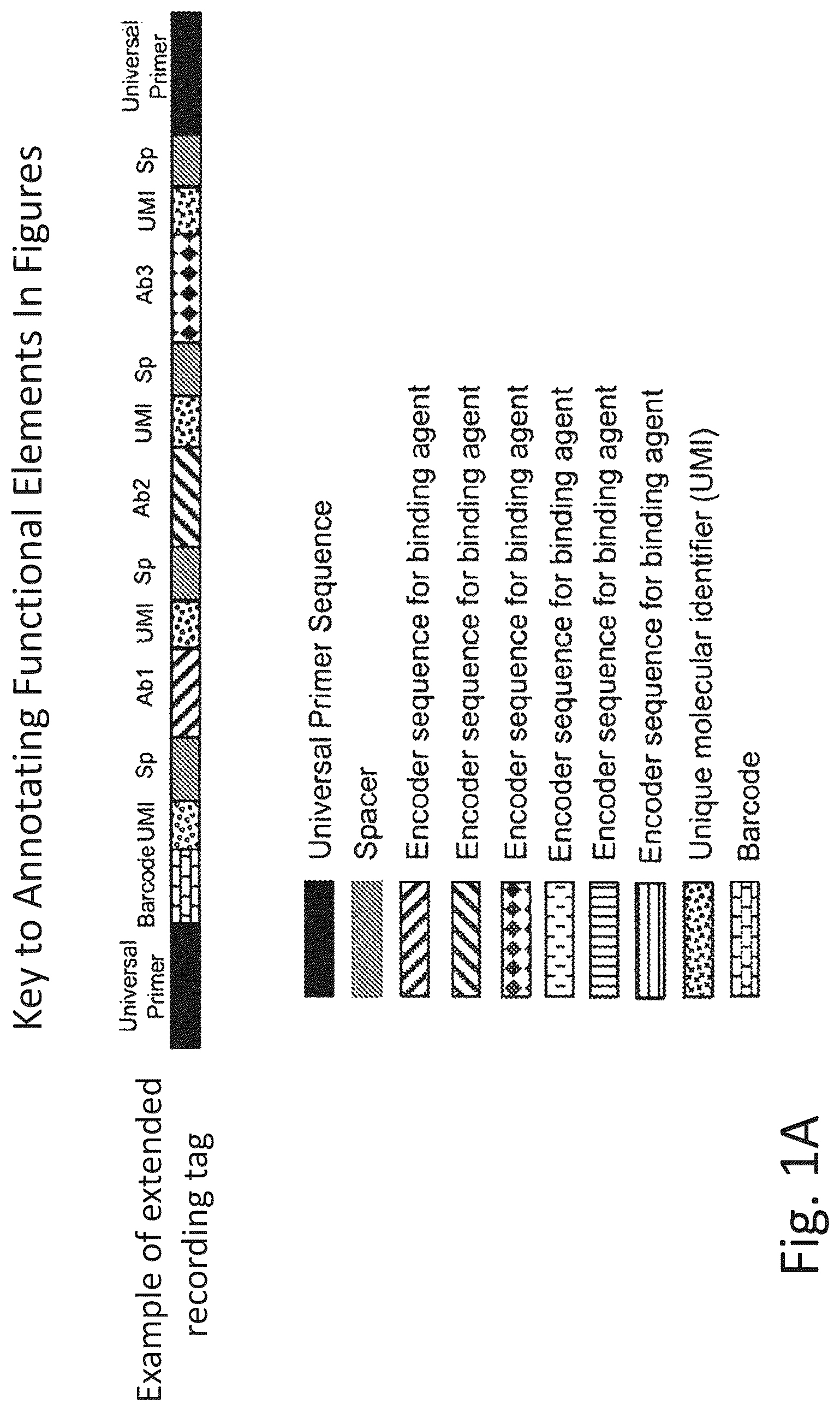 Patent US12320813 Figure 1 – Macromolecule analysis employing nucleic acid encoding