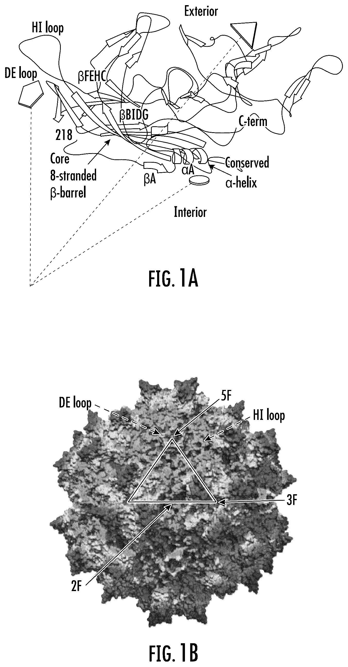 Patent US12320814 — Characterization of adeno-associated virus using microchip capillary electrophoresis — Figure 1