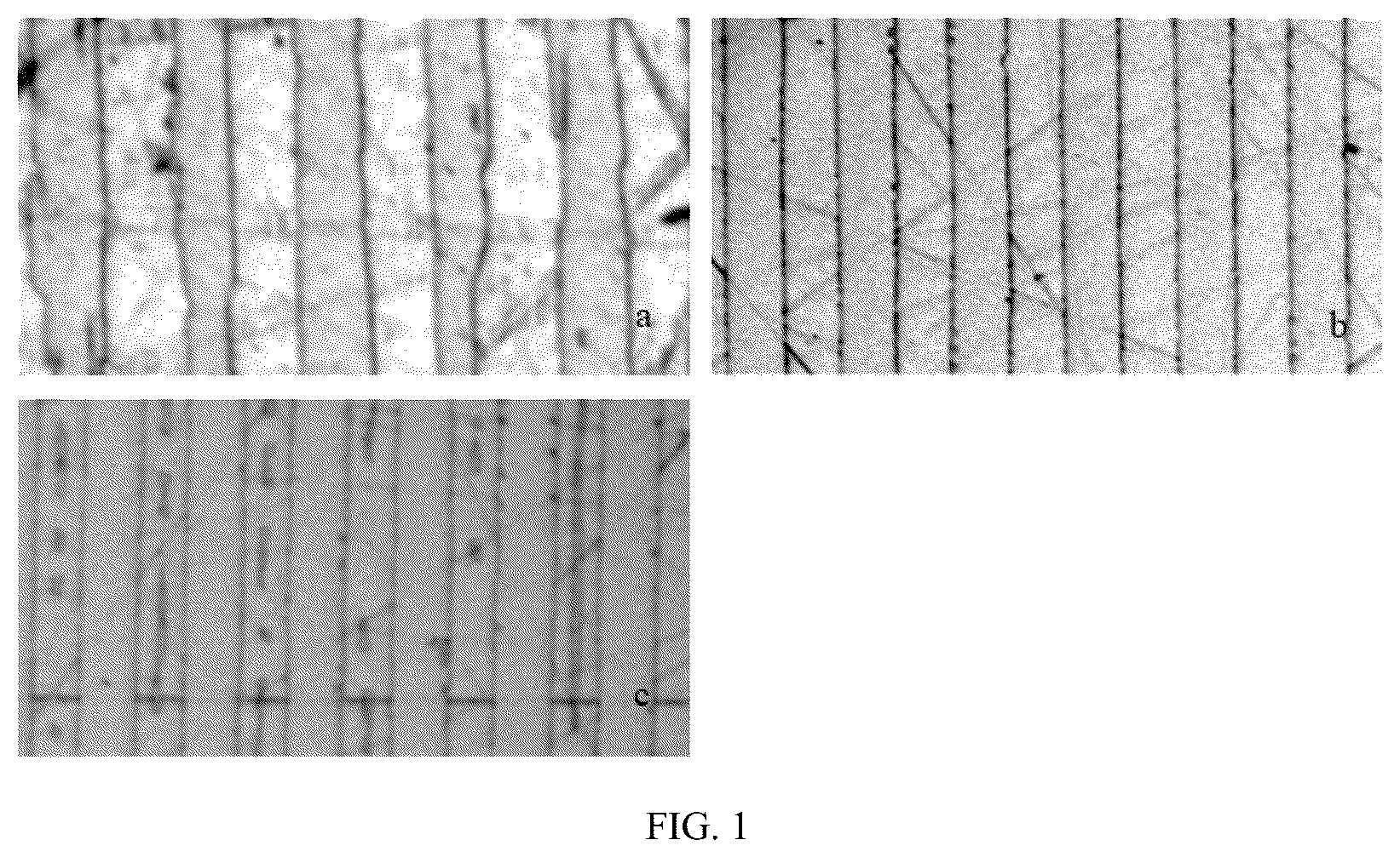 Patent US12321080 — Domain wall straightening method of periodically poled ferroelectric crystal — Figure 1