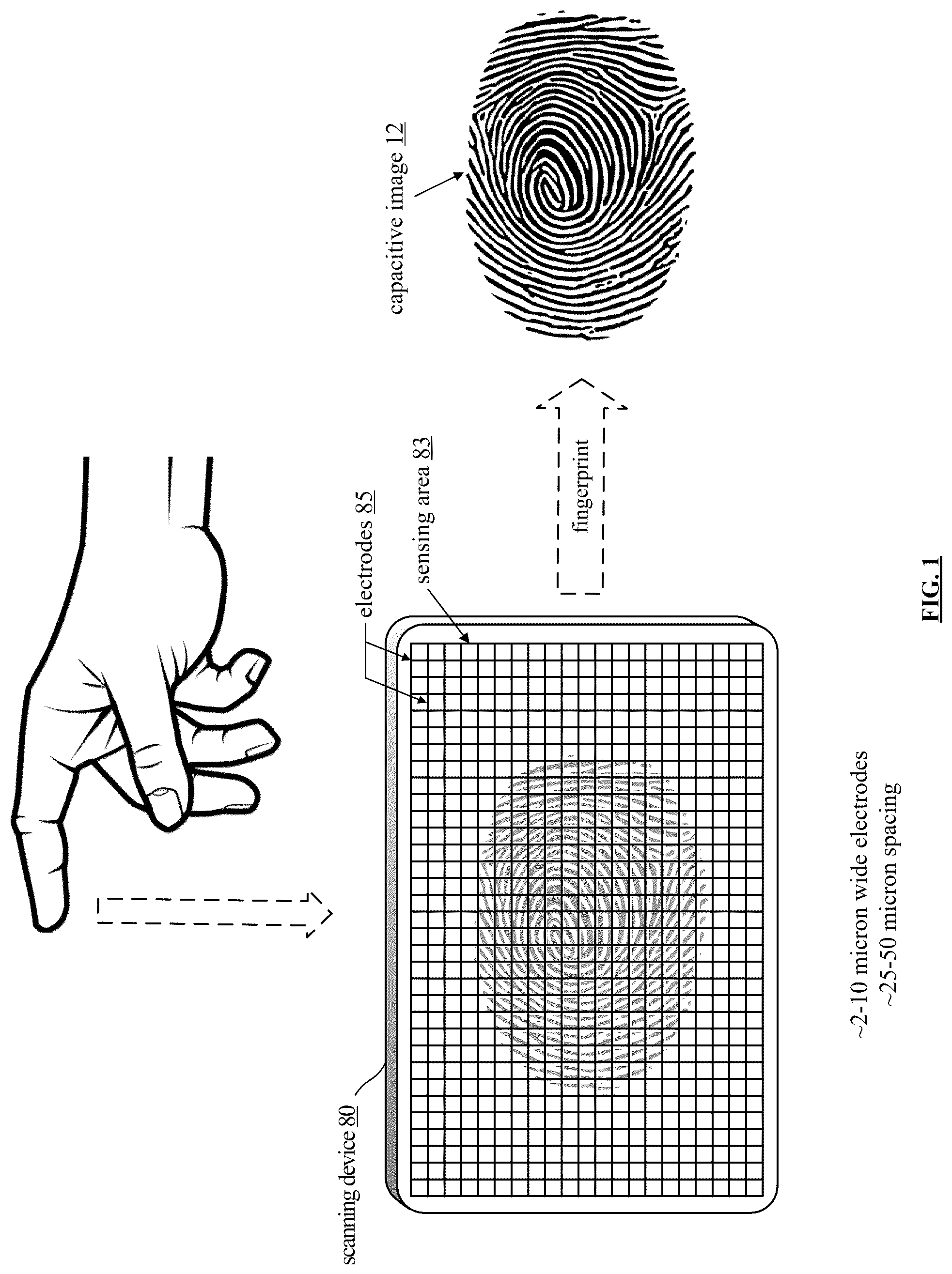 Patent US12321560 — Fingerprint imaging device incorporating electrodes and drive-sense circuitry — Figure 1
